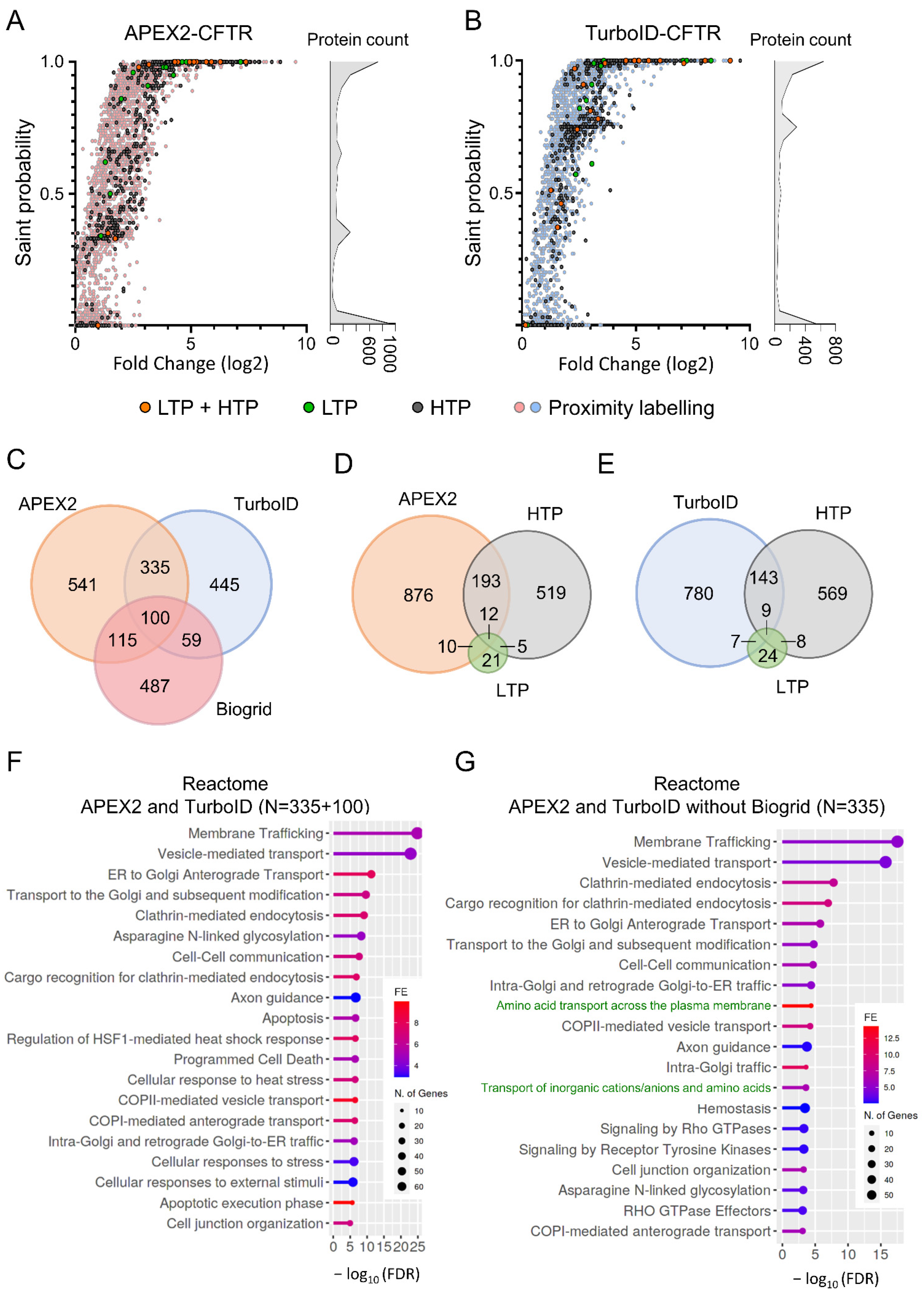 Ijms 23 08937 g004 Ijms 23 08937 g004