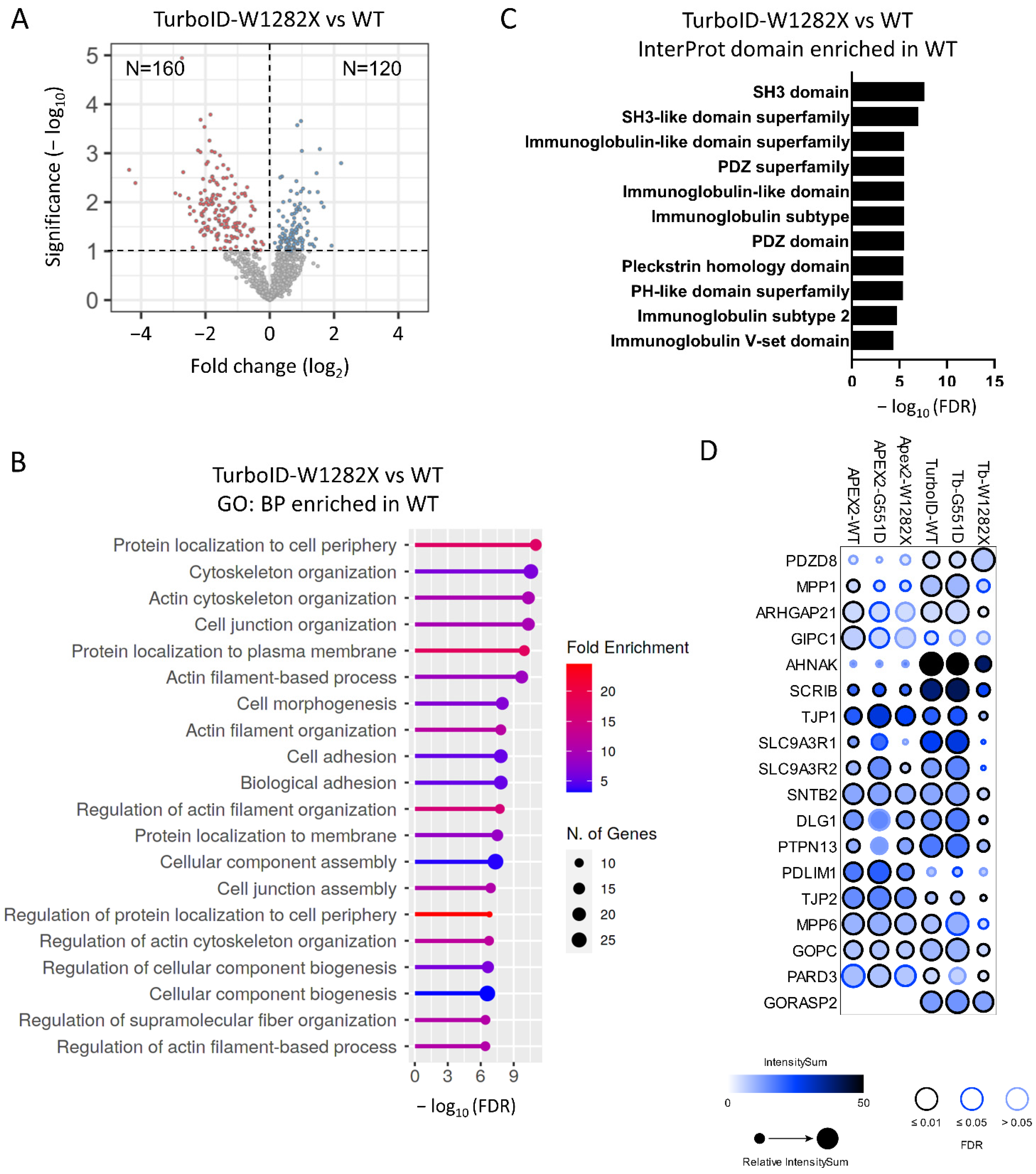Ijms 23 08937 g005 Ijms 23 08937 g005