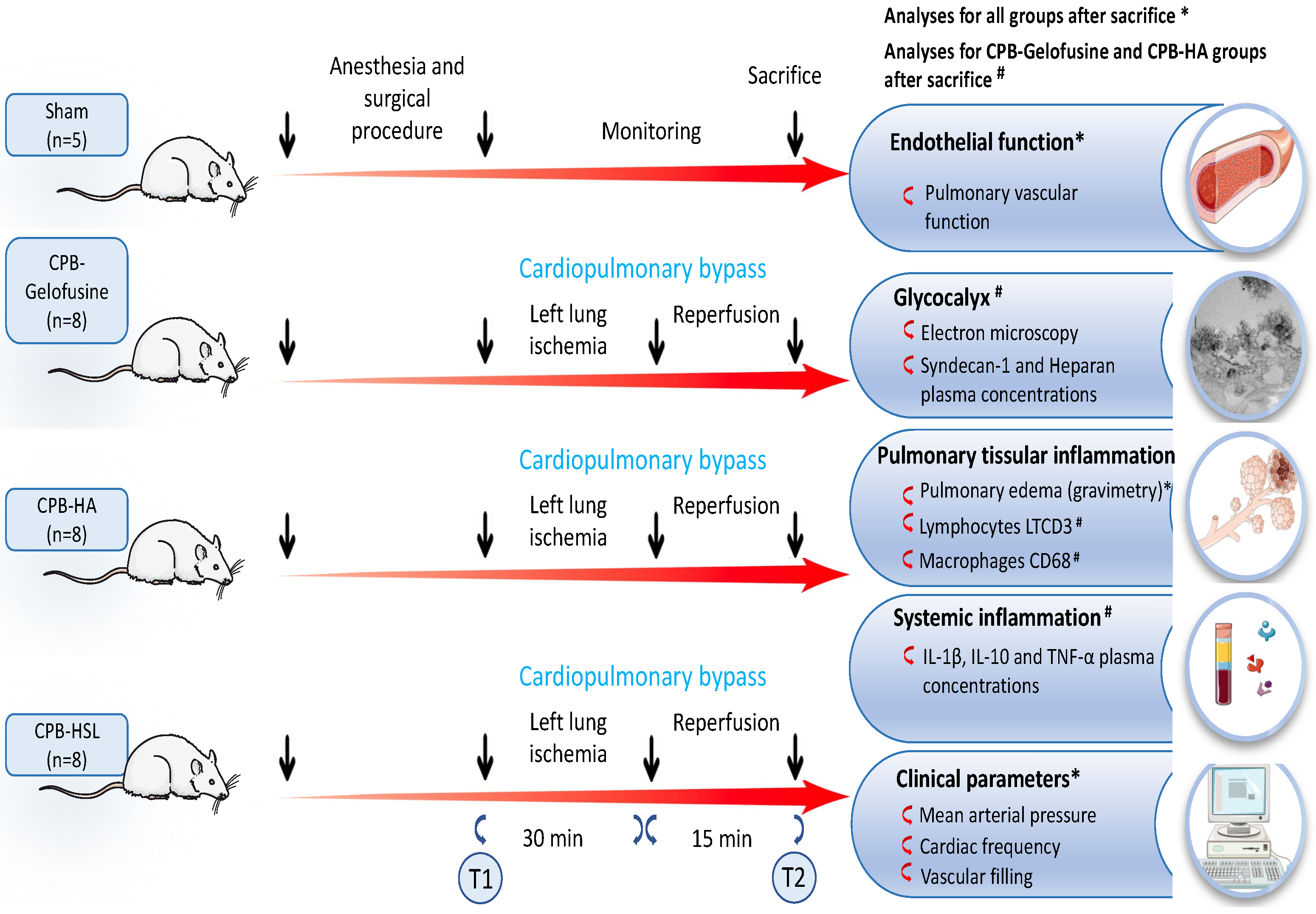 Ijms 23 08938 g006 550
