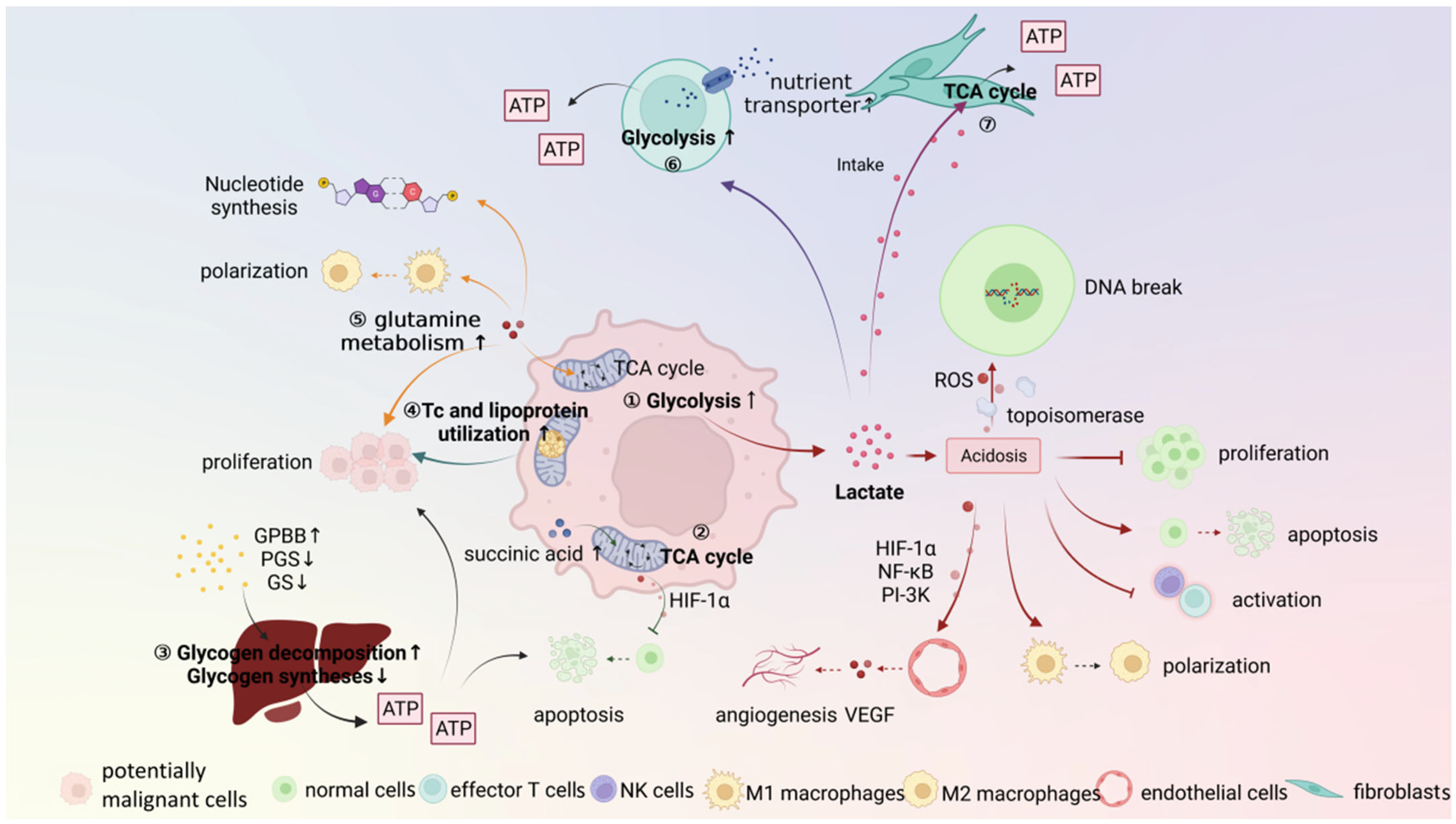 Ijms 23 08940 g002 550