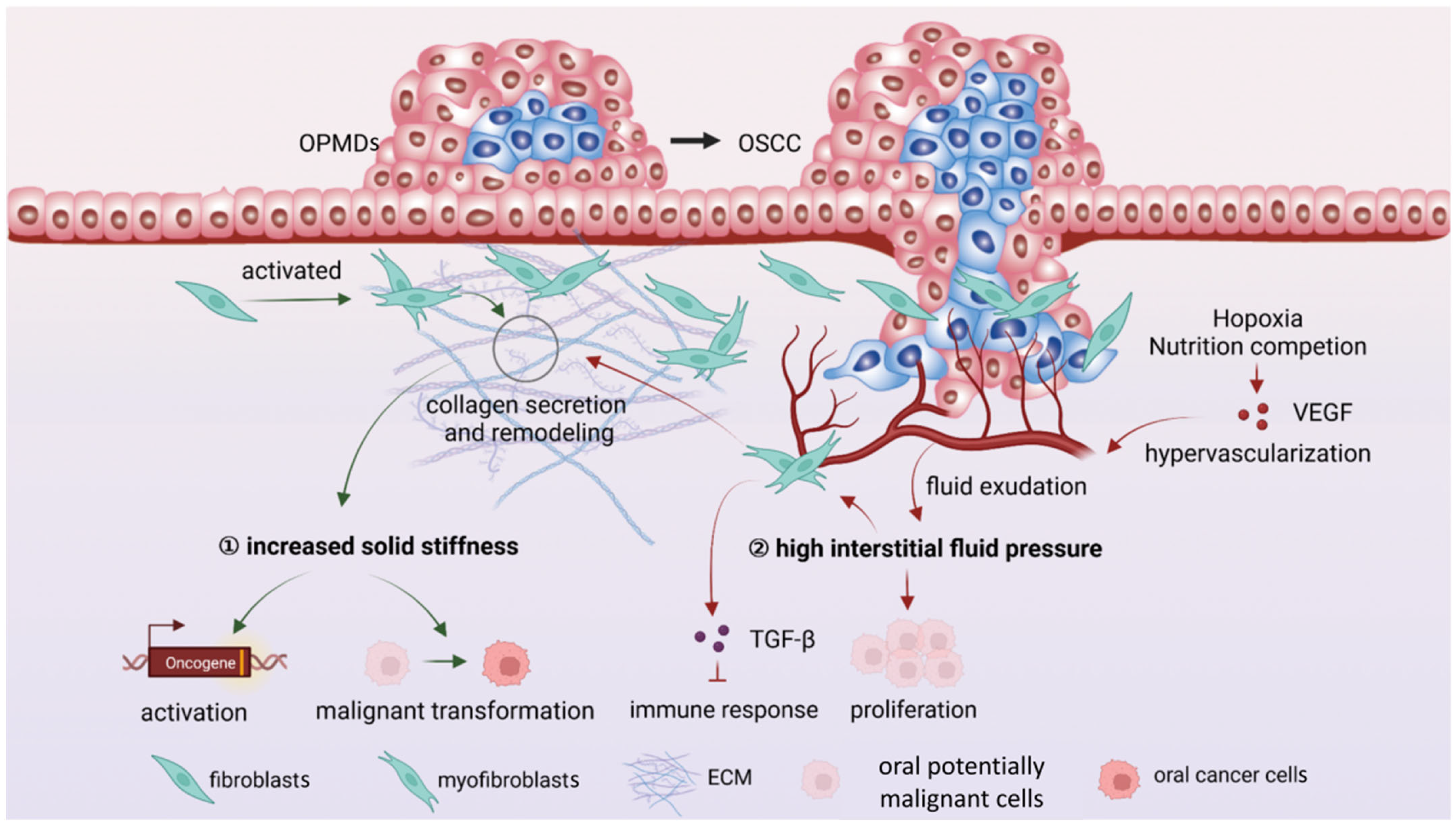 Ijms 23 08940 g003 550