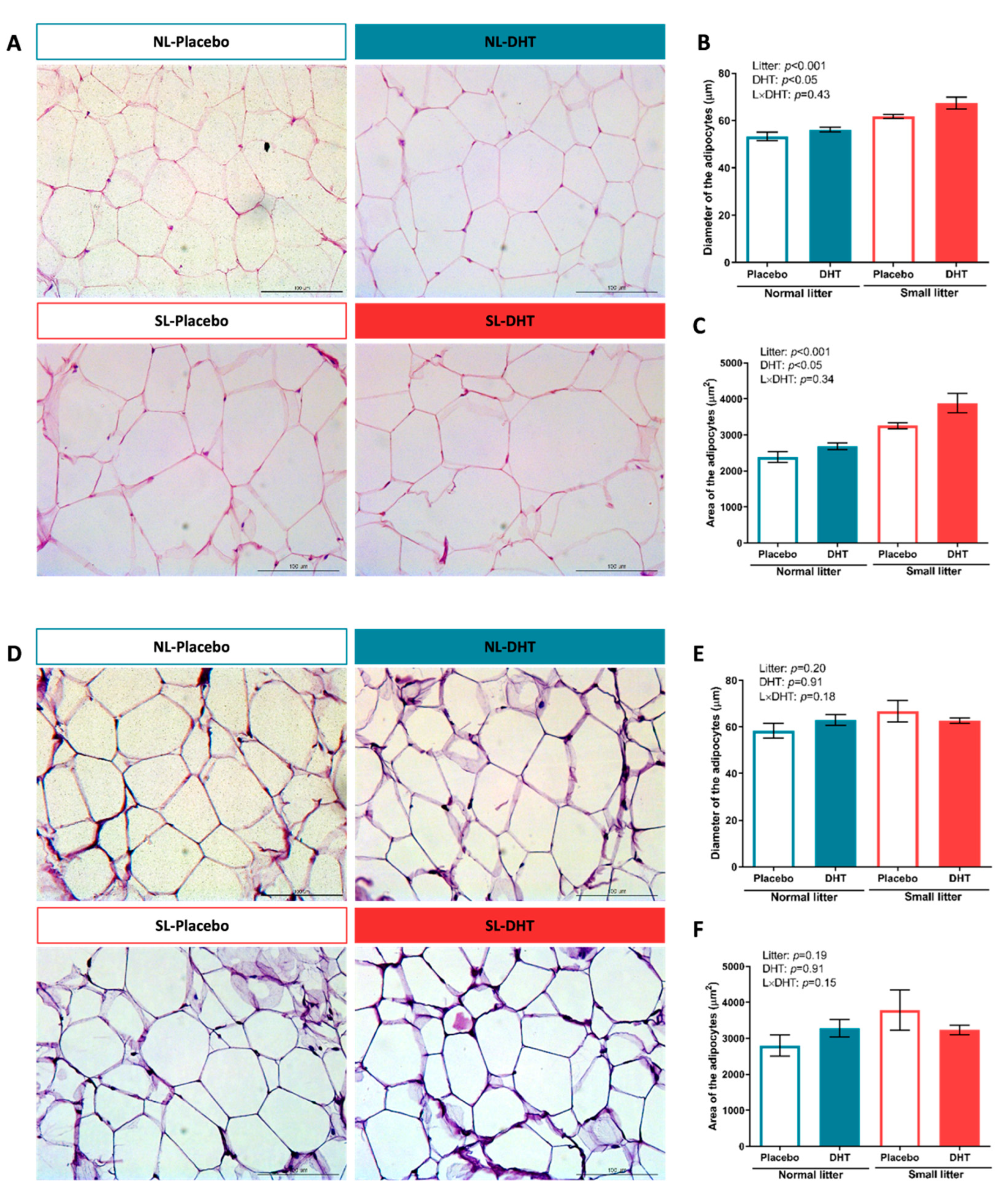 Ijms 23 08942 g002 550