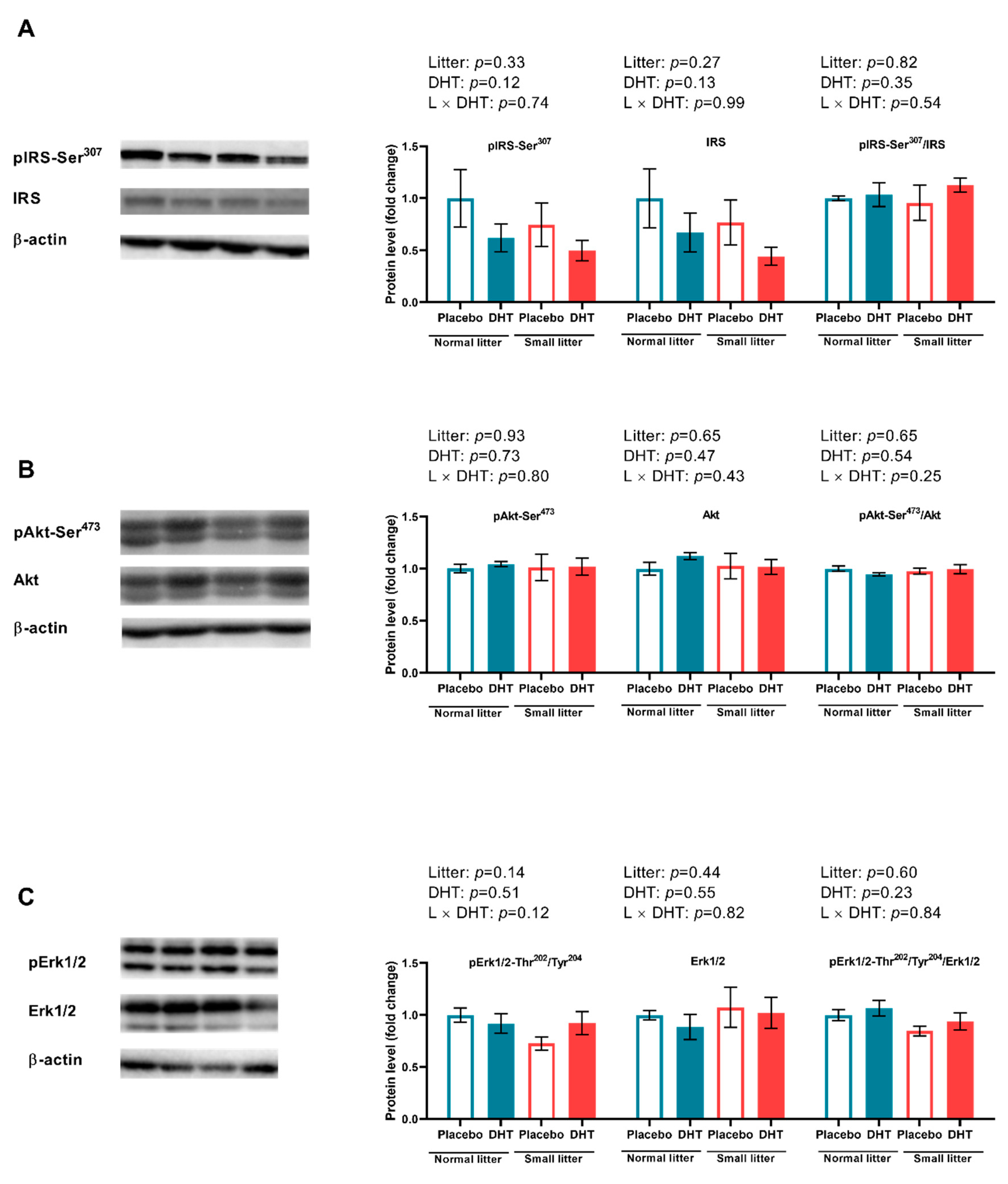 Ijms 23 08942 g003 550