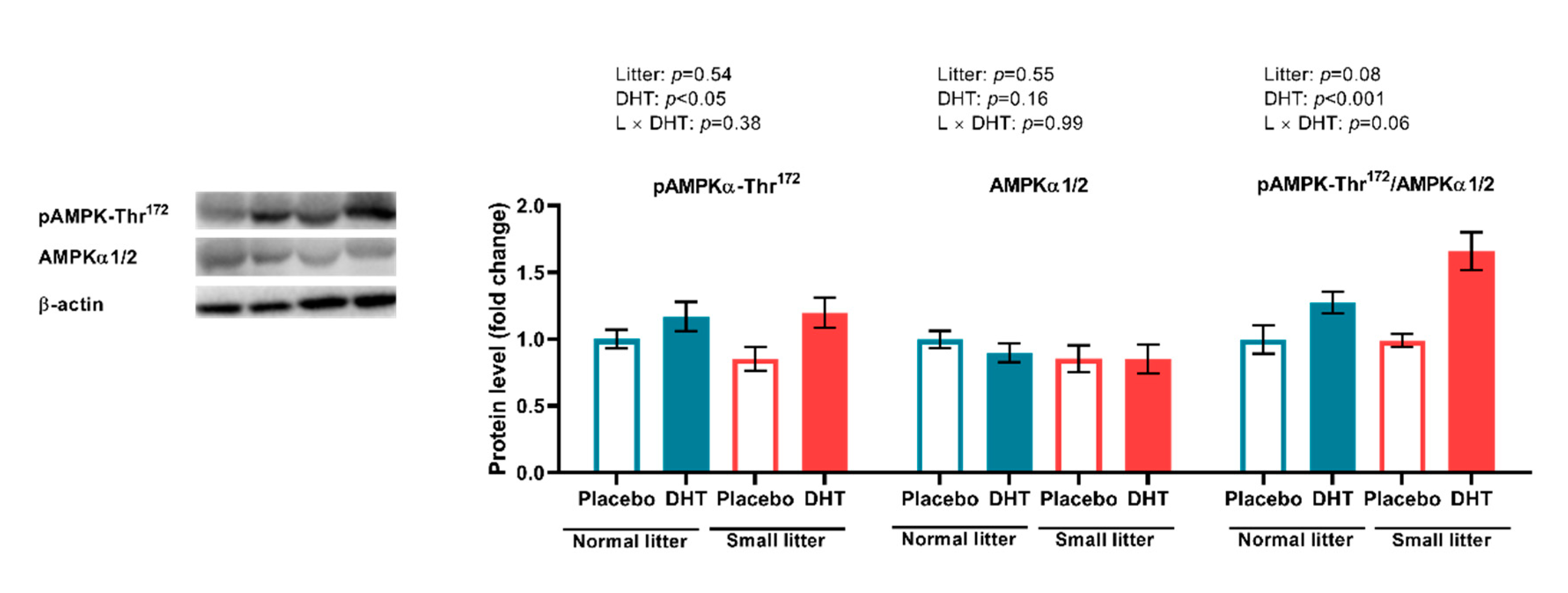 Ijms 23 08942 g006 550