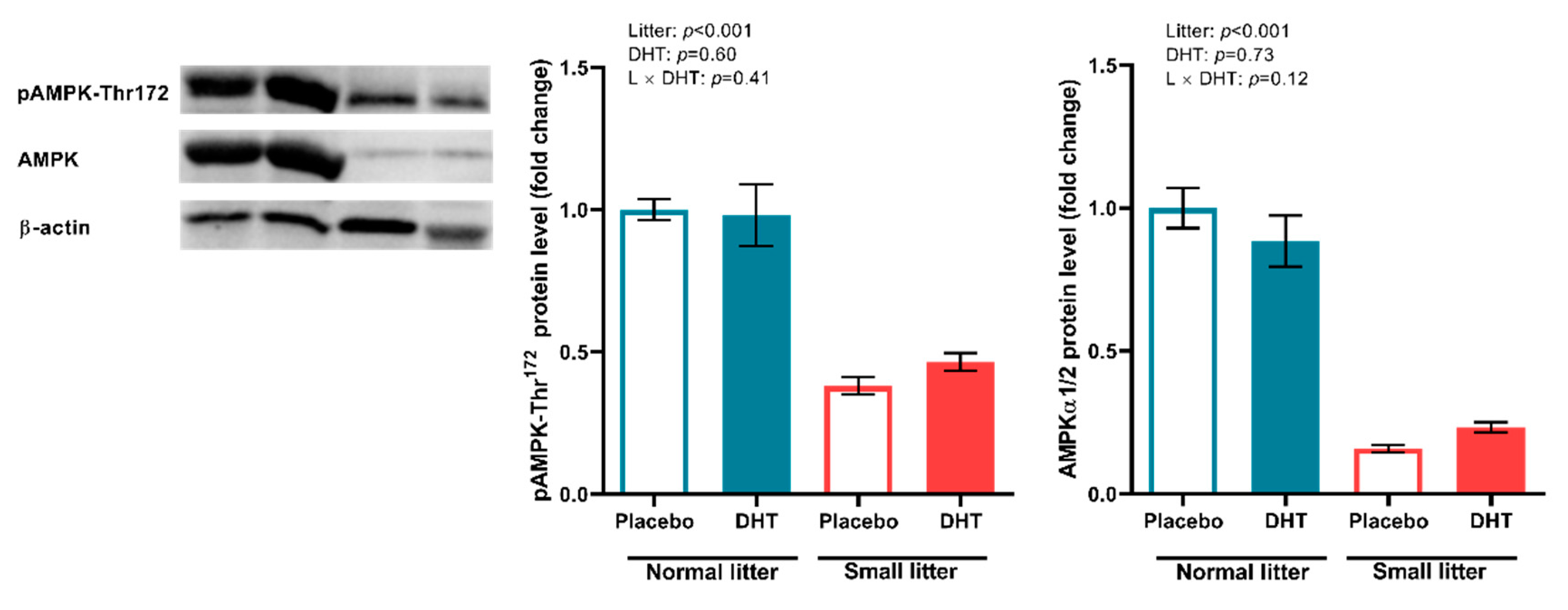 Ijms 23 08942 g007 550