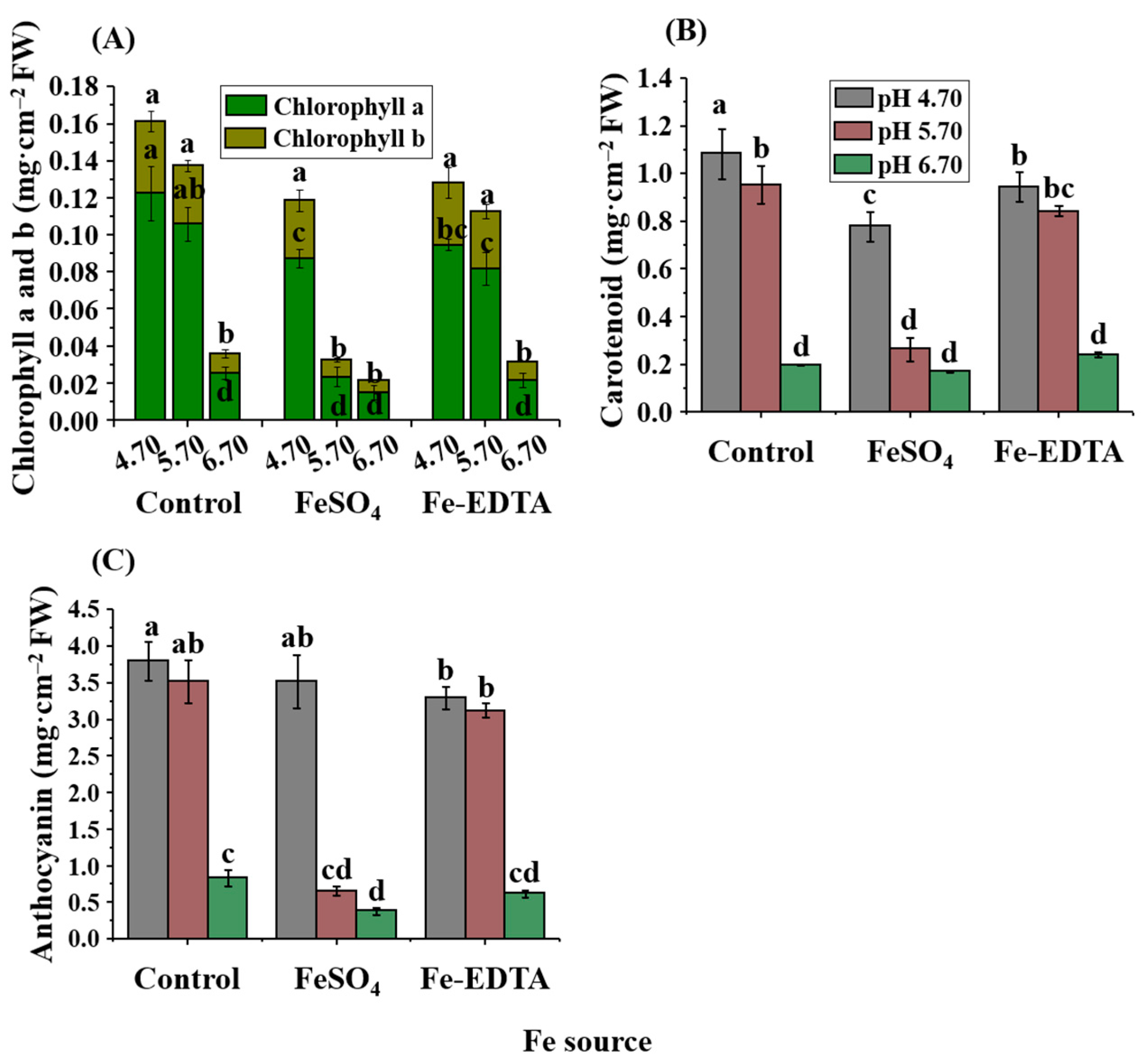 Ijms 23 08943 g002 Ijms 23 08943 g002