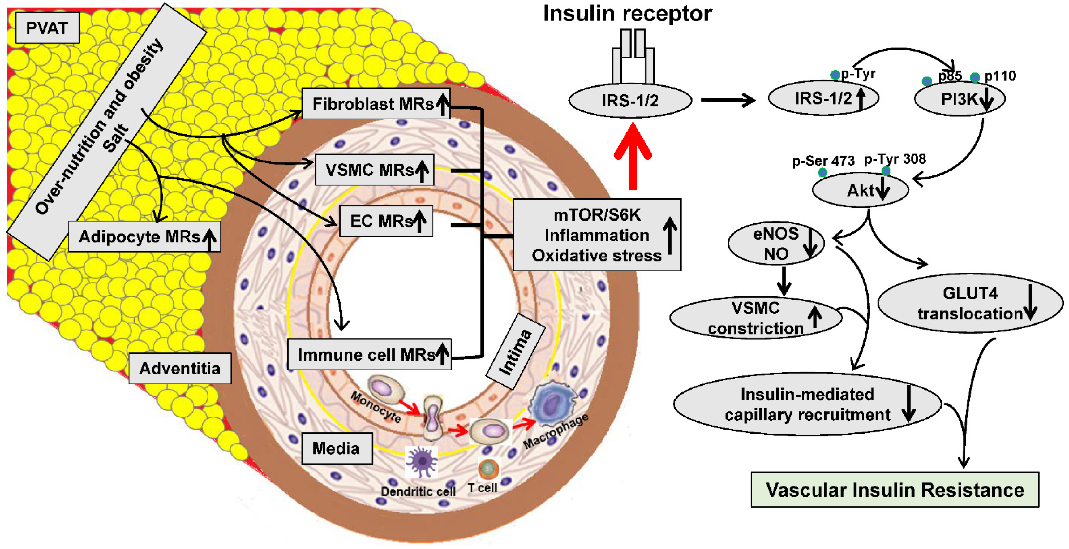Ijms 23 08954 g002 550