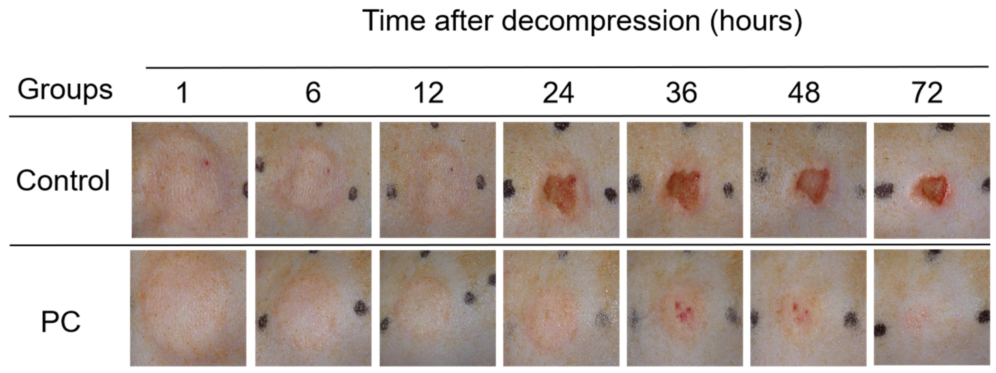 Ijms 23 08955 g001 550