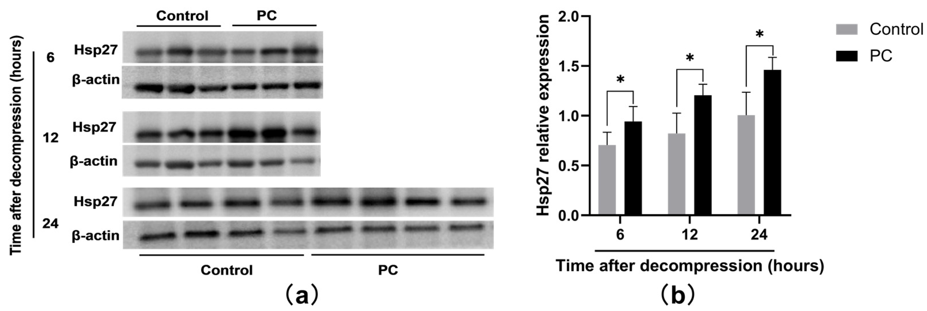 Ijms 23 08955 g004 550