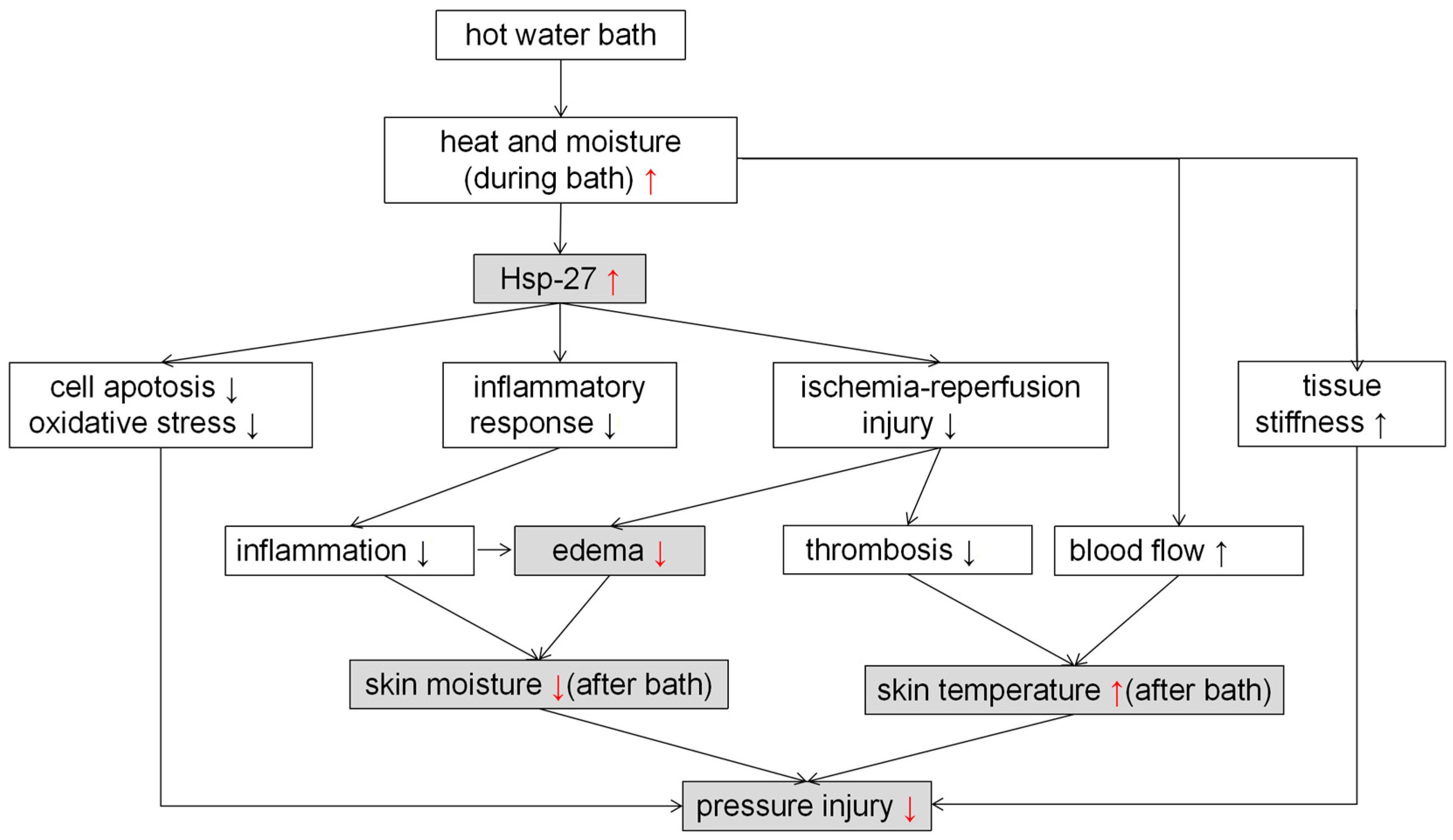 Ijms 23 08955 g005 550