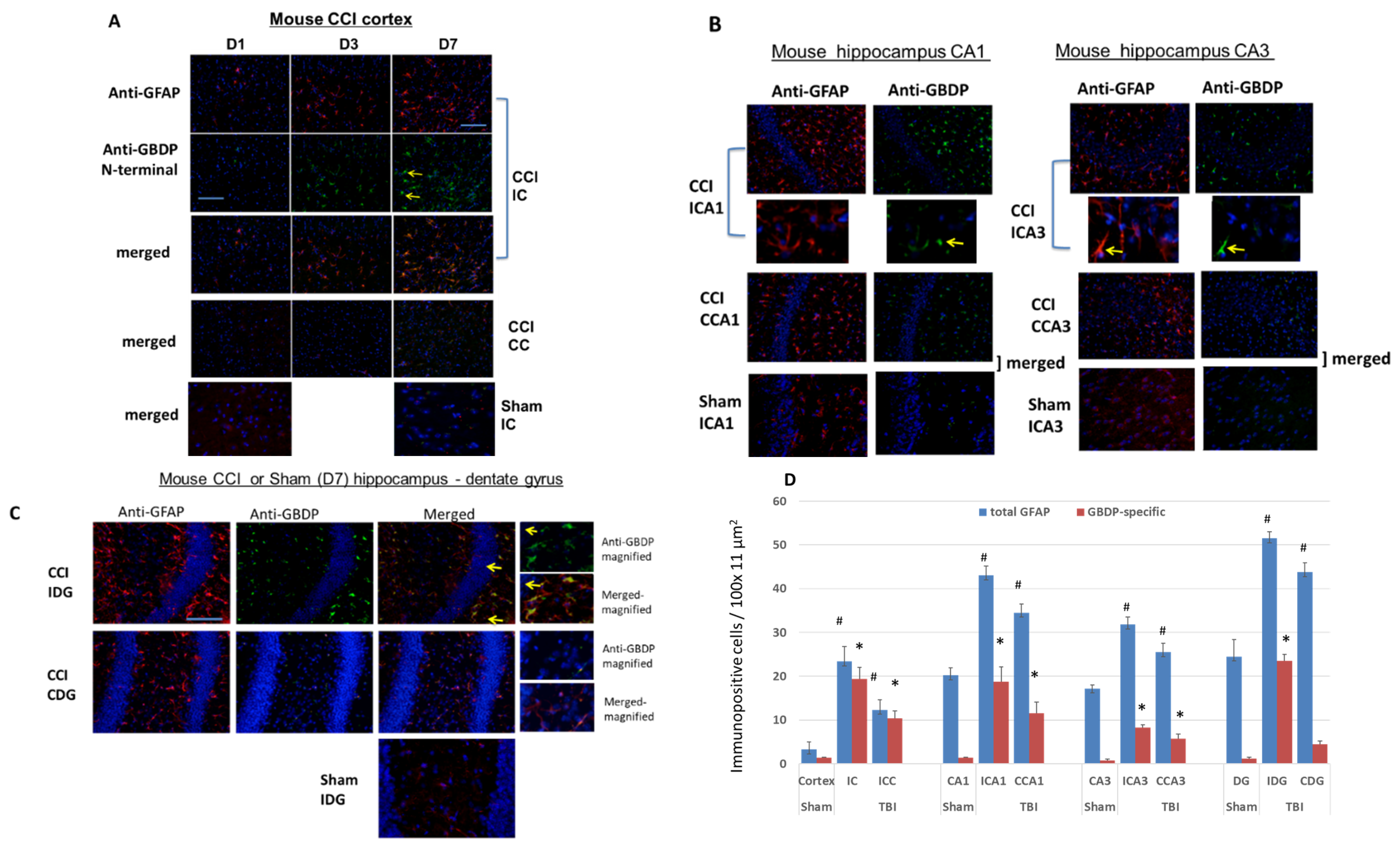 Ijms 23 08960 g007 550