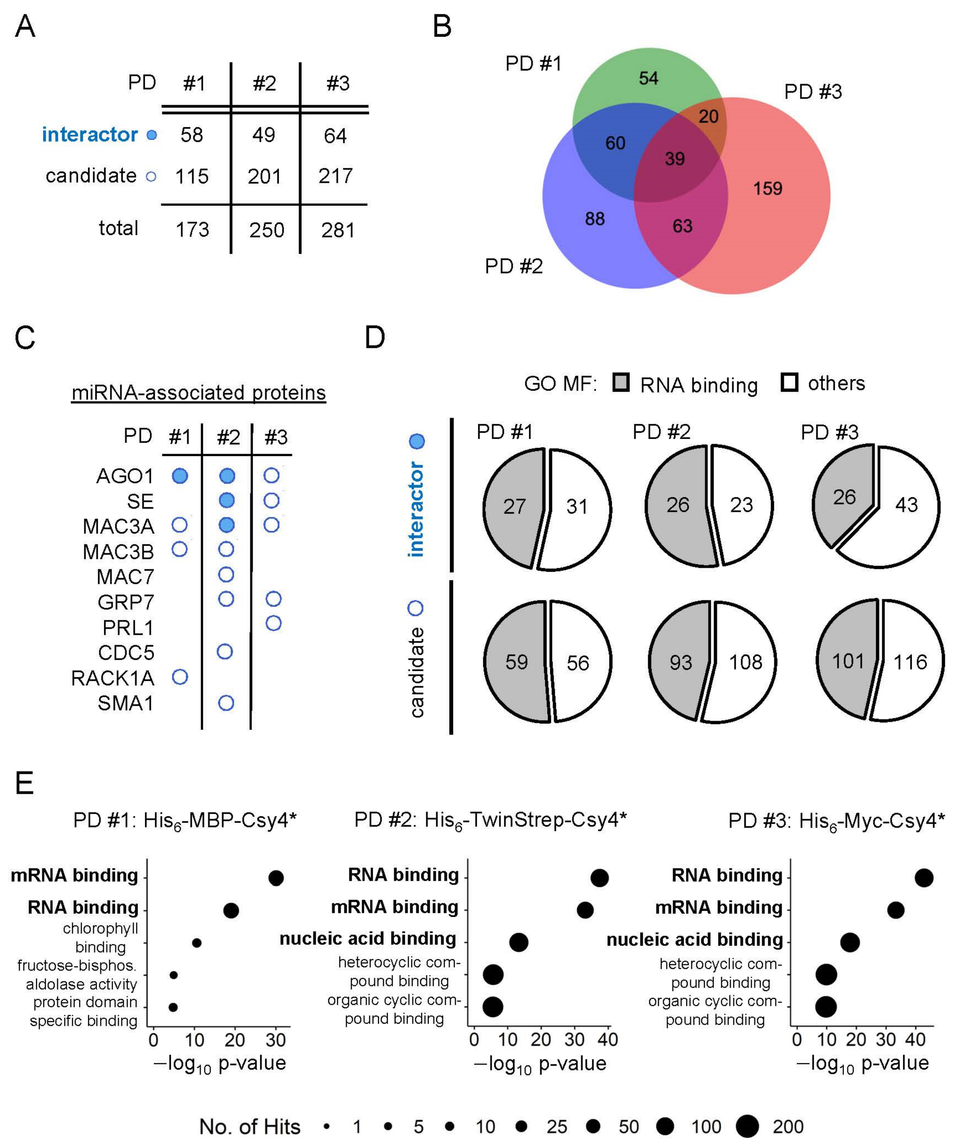 Ijms 23 08961 g002 550