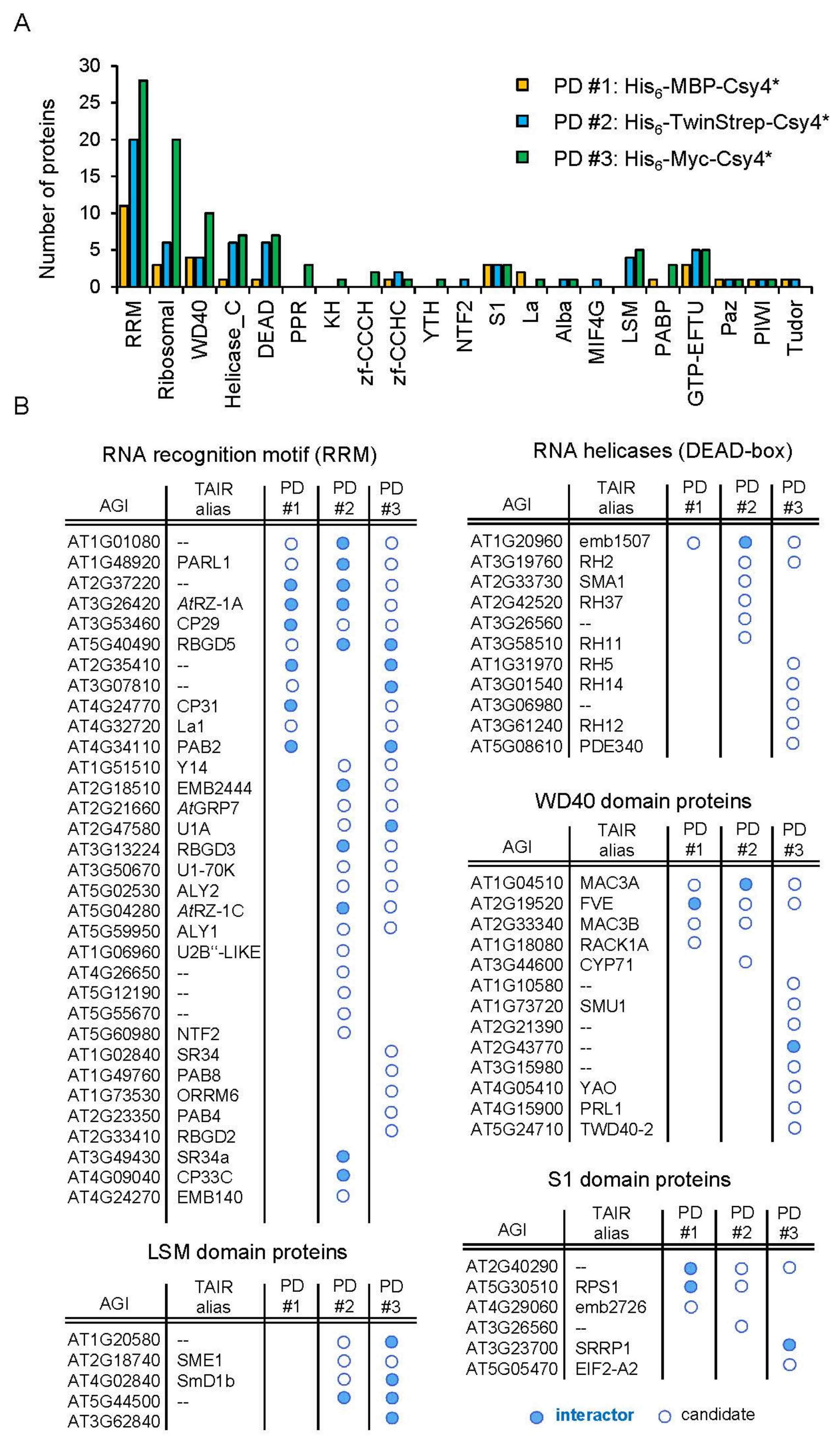 Ijms 23 08961 g003 550