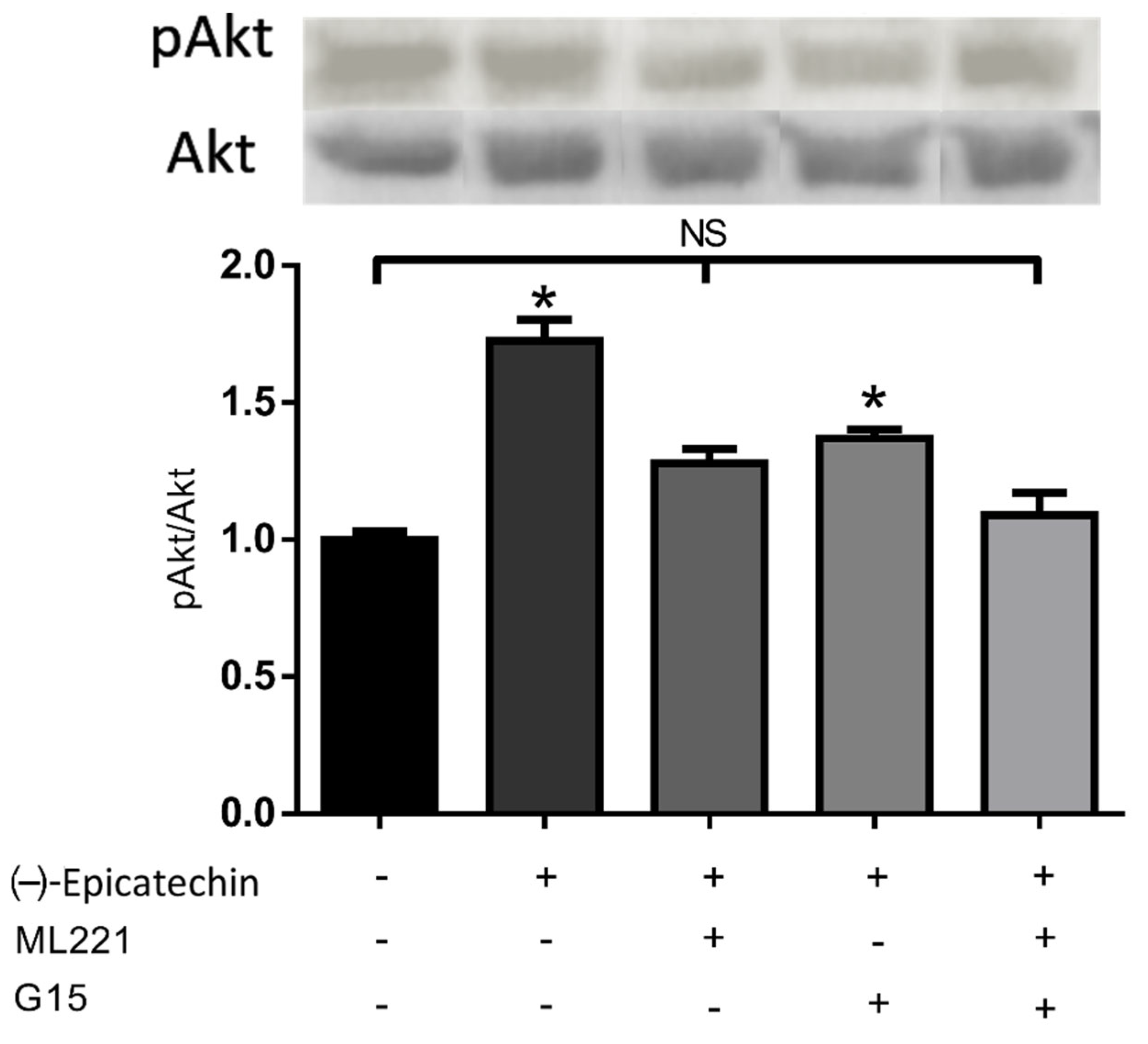 Ijms 23 08962 g001 550