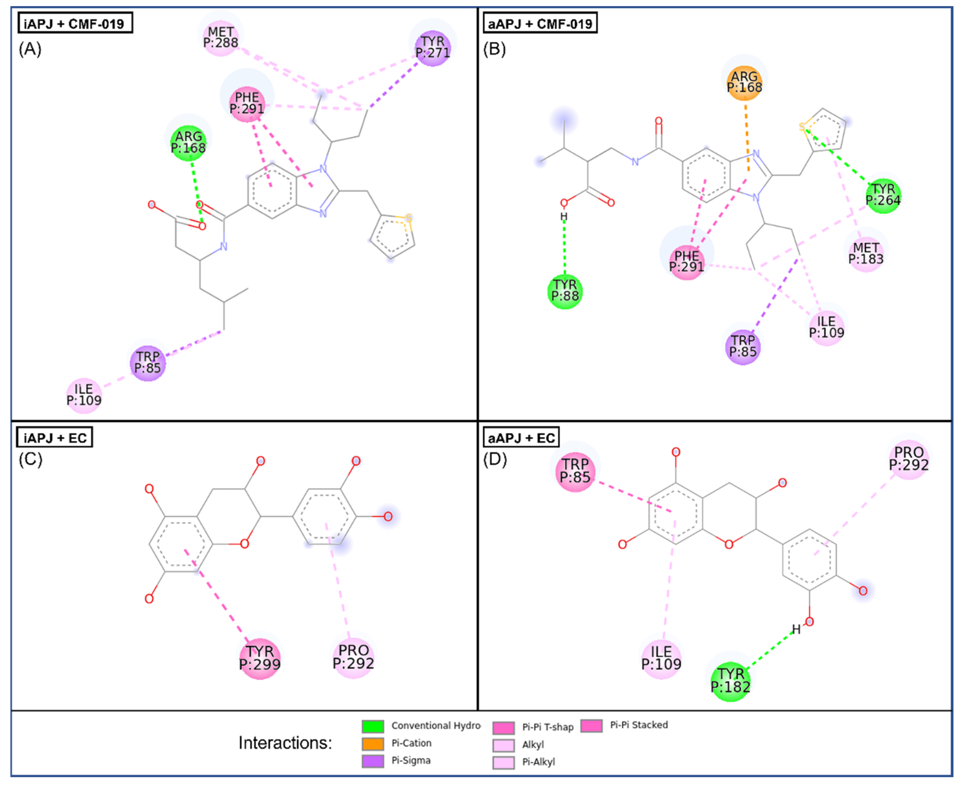 Ijms 23 08962 g004 550