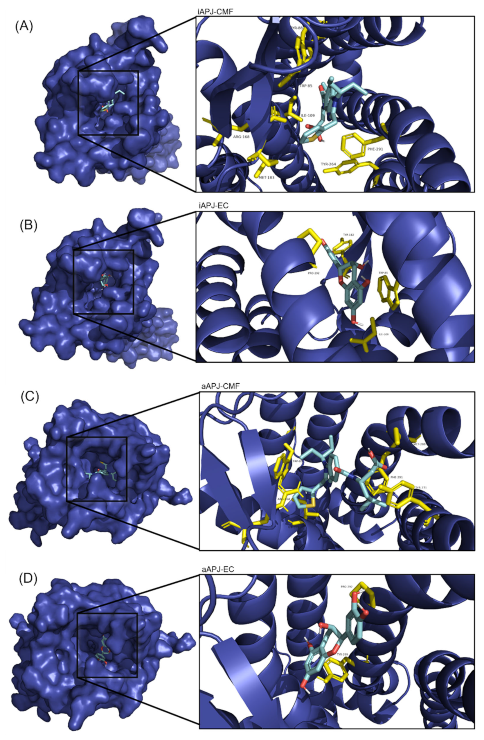 Ijms 23 08962 g005 550