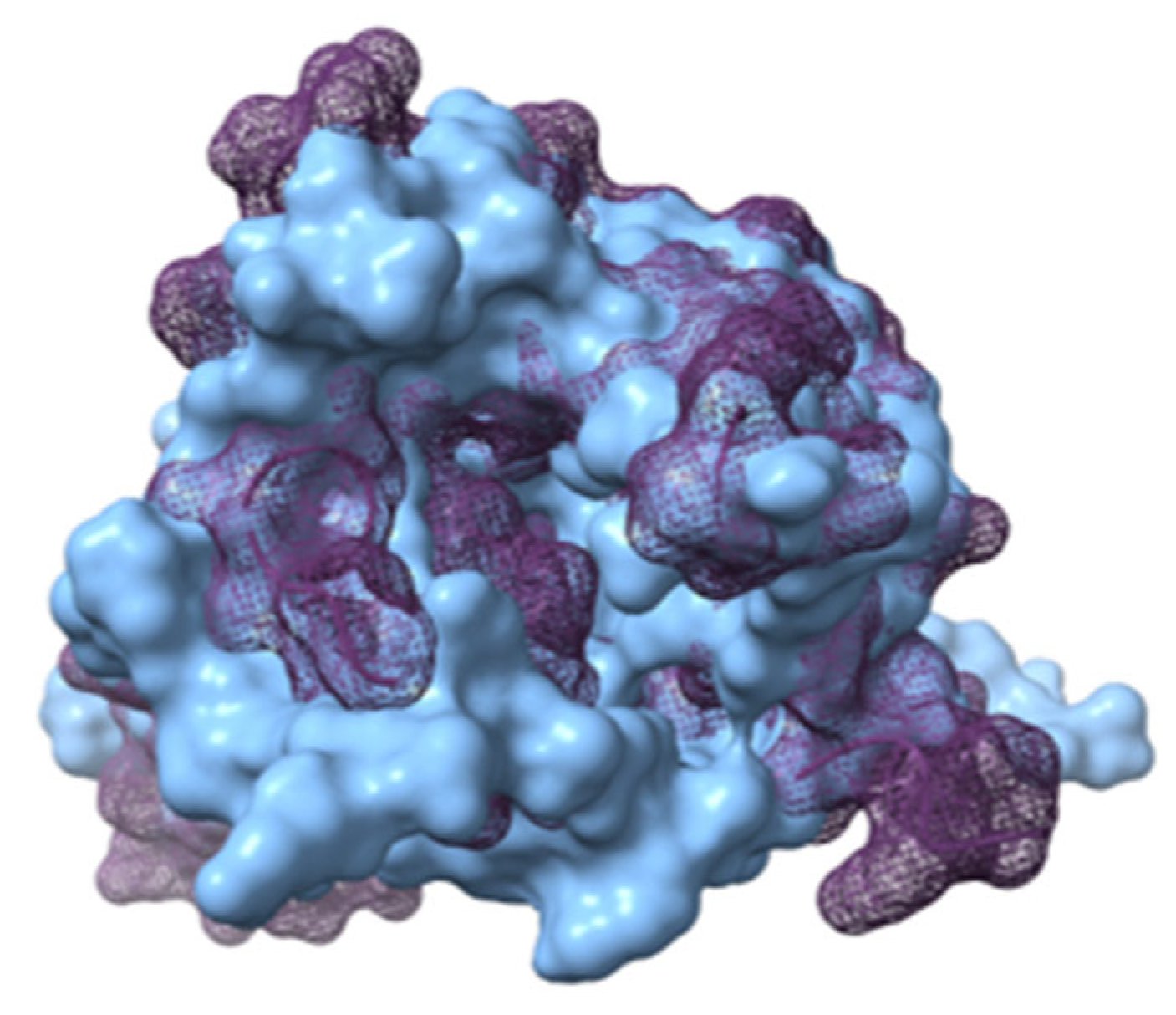 Ijms 23 08962 g007 550