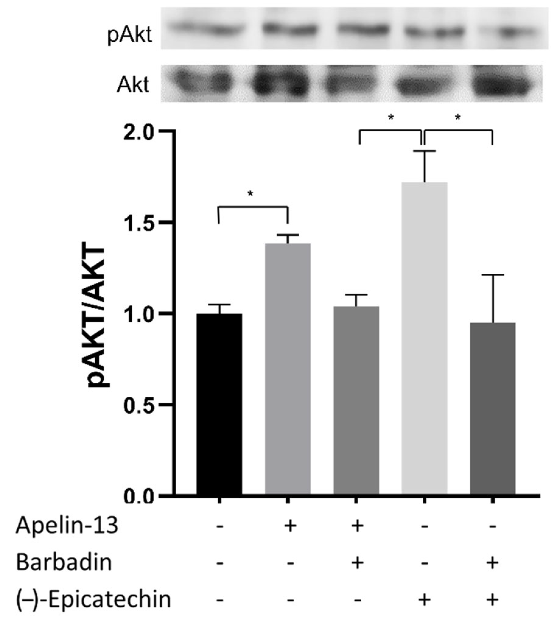 Ijms 23 08962 g012 550
