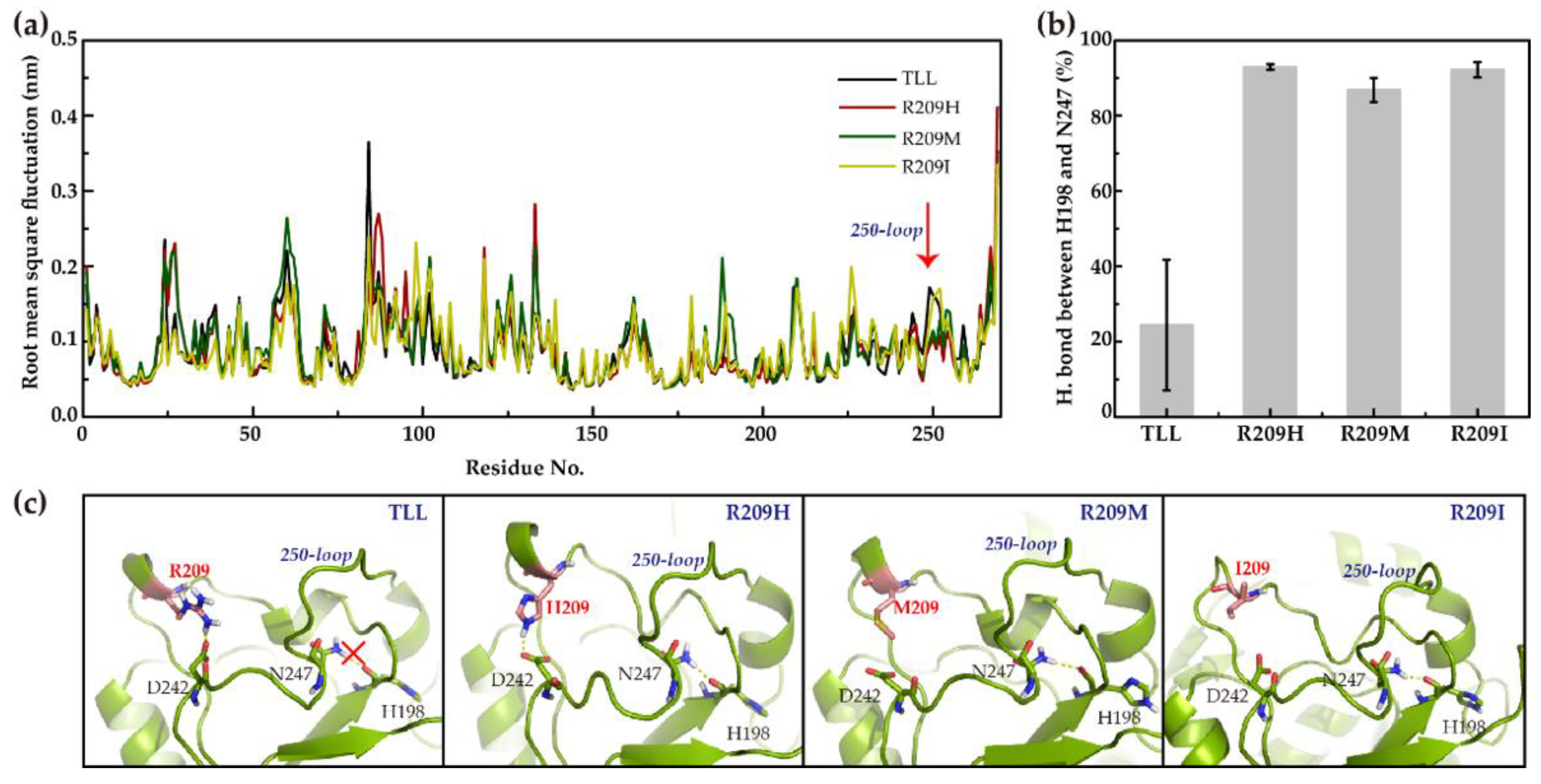 Ijms 23 08963 g005 550