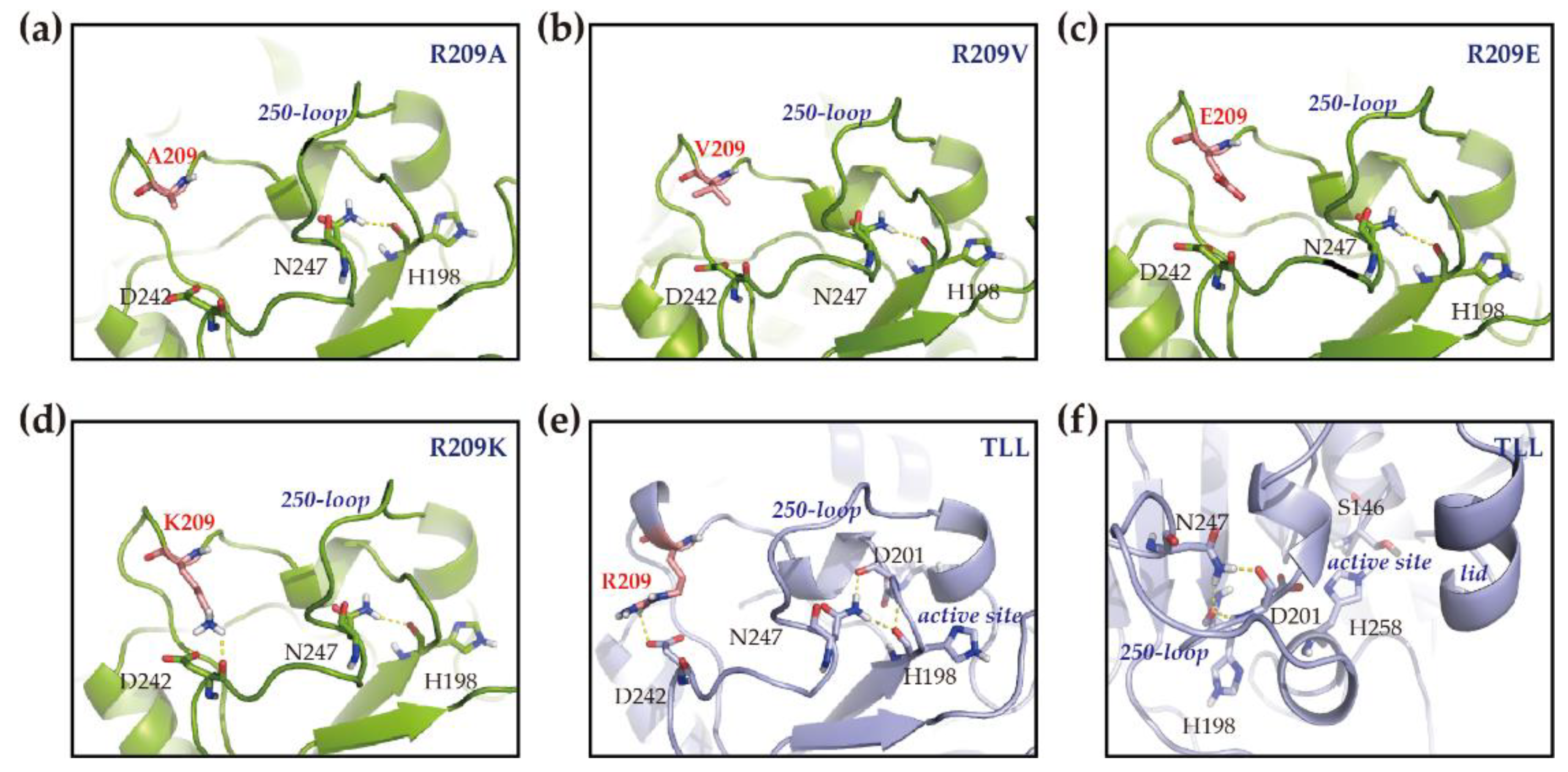 Ijms 23 08963 g006 550