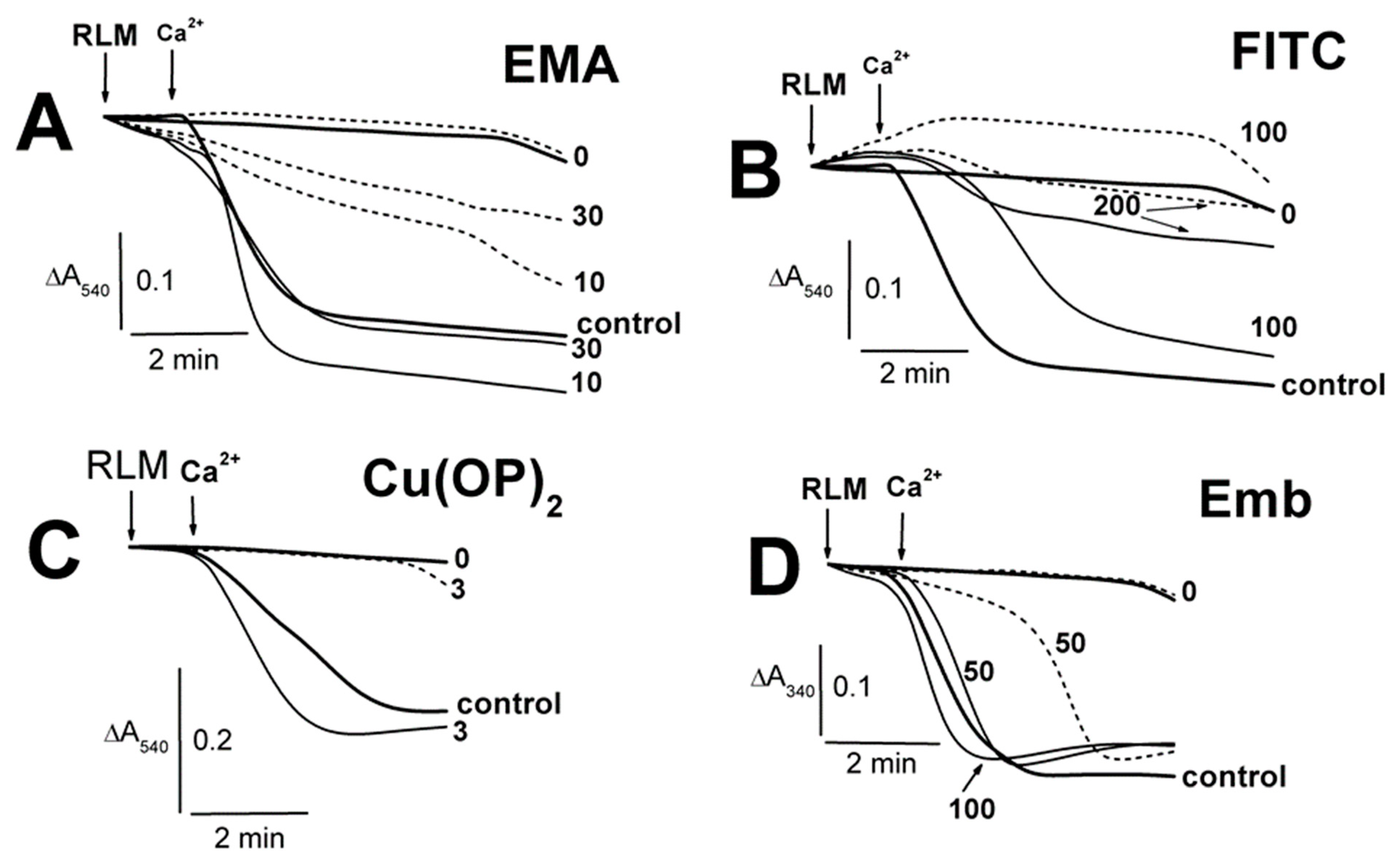 Ijms 23 08964 g004 Ijms 23 08964 g004
