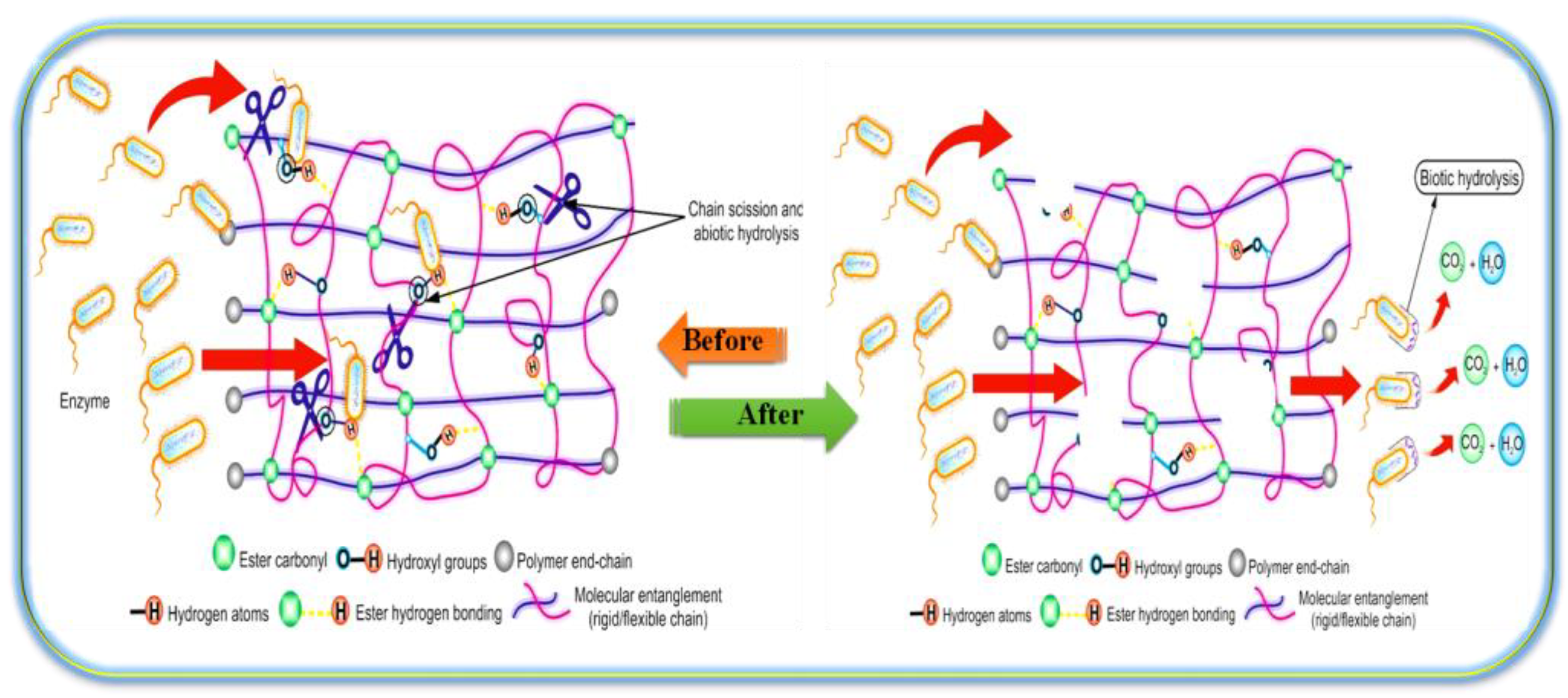 Ijms 23 08967 g011 550