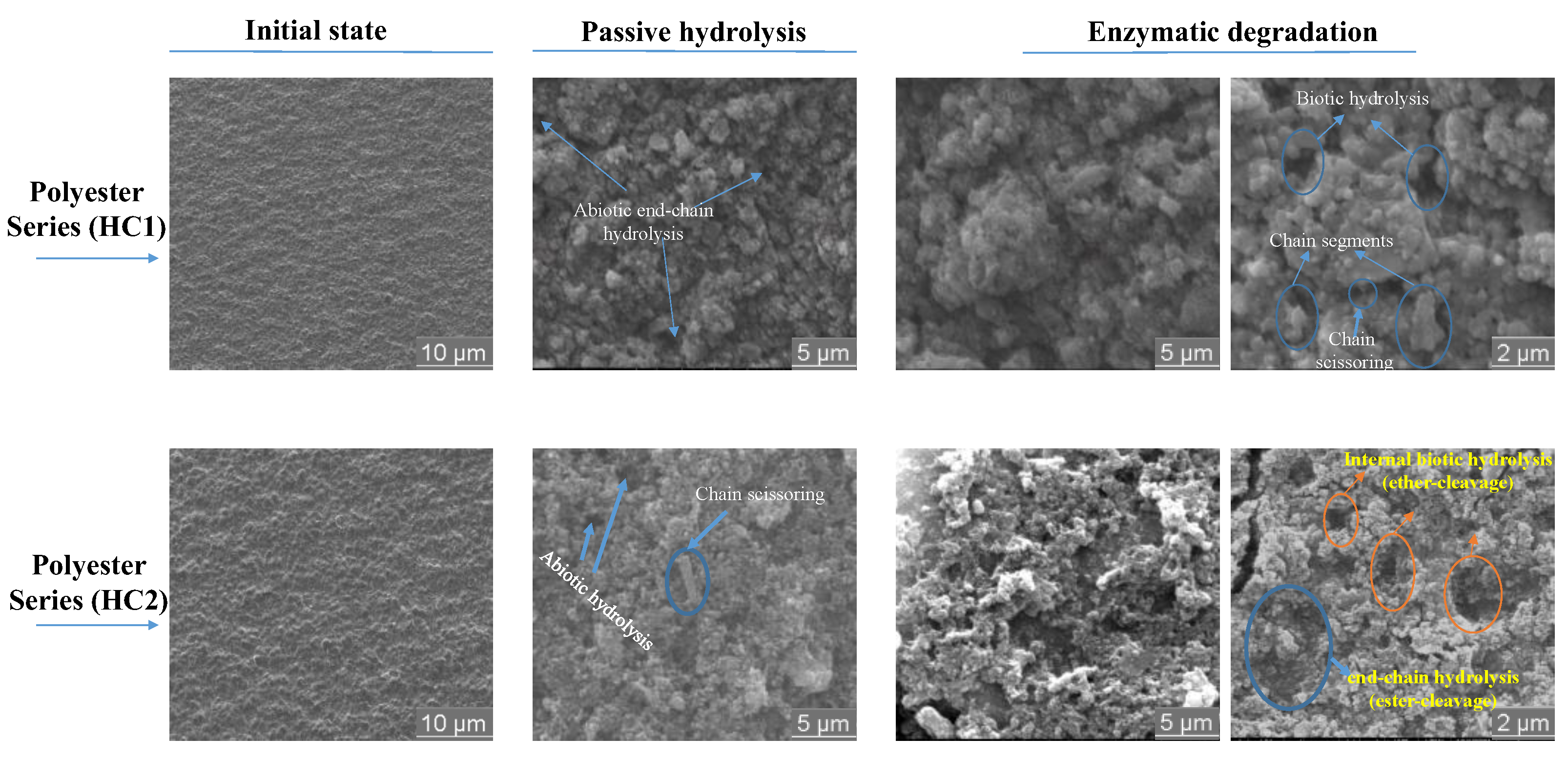 Ijms 23 08967 g013 550