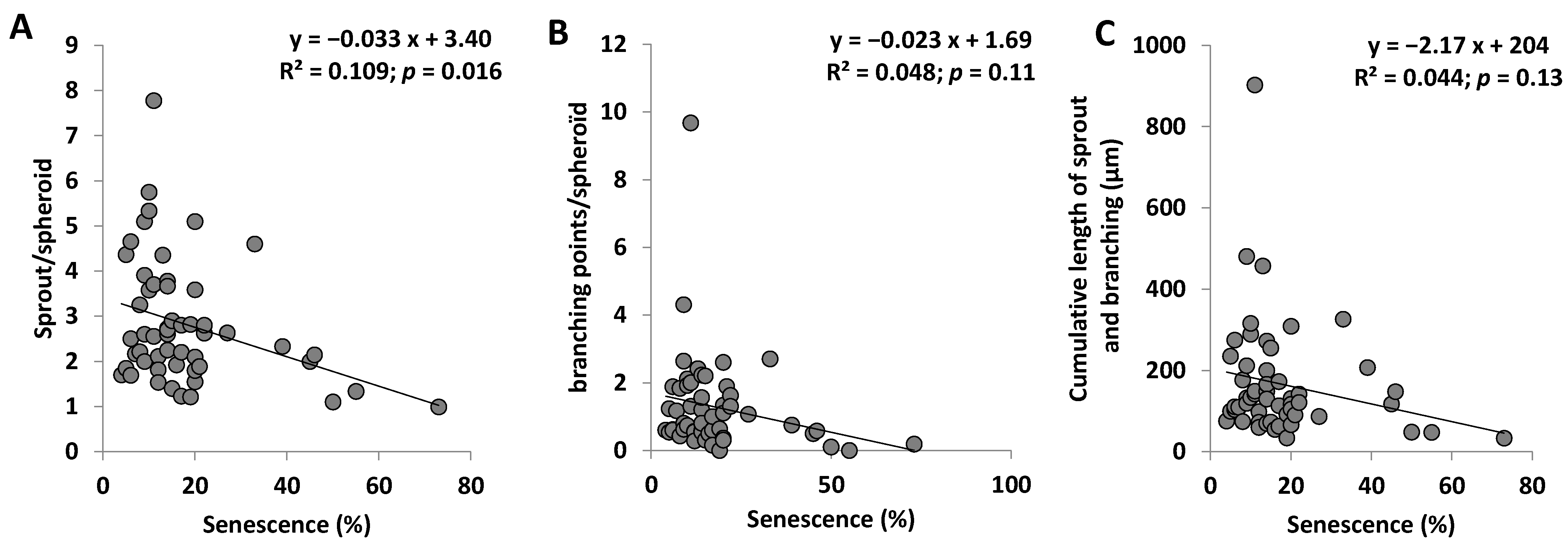 Ijms 23 08969 g004 Ijms 23 08969 g004