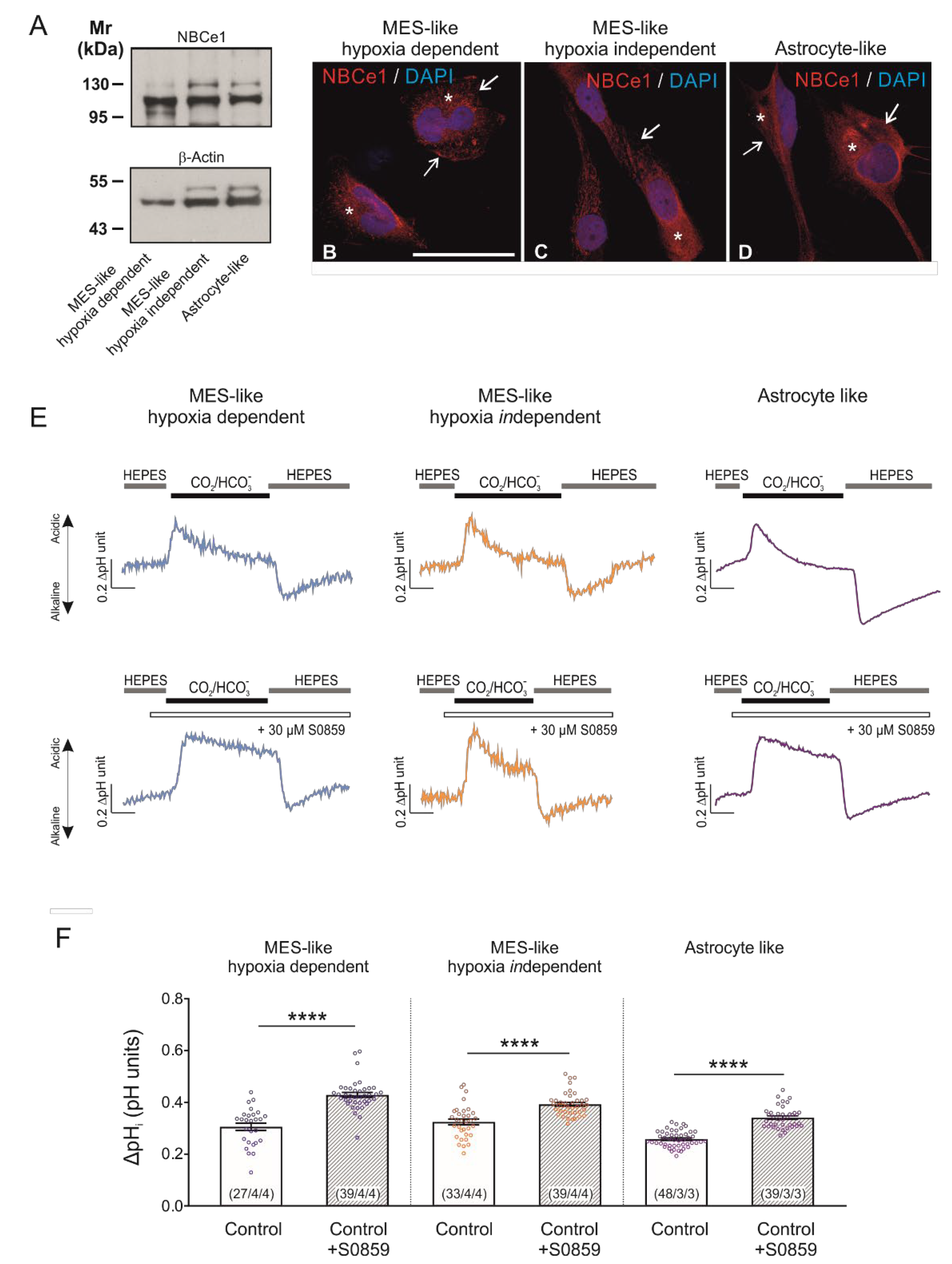 Ijms 23 08975 g001 550