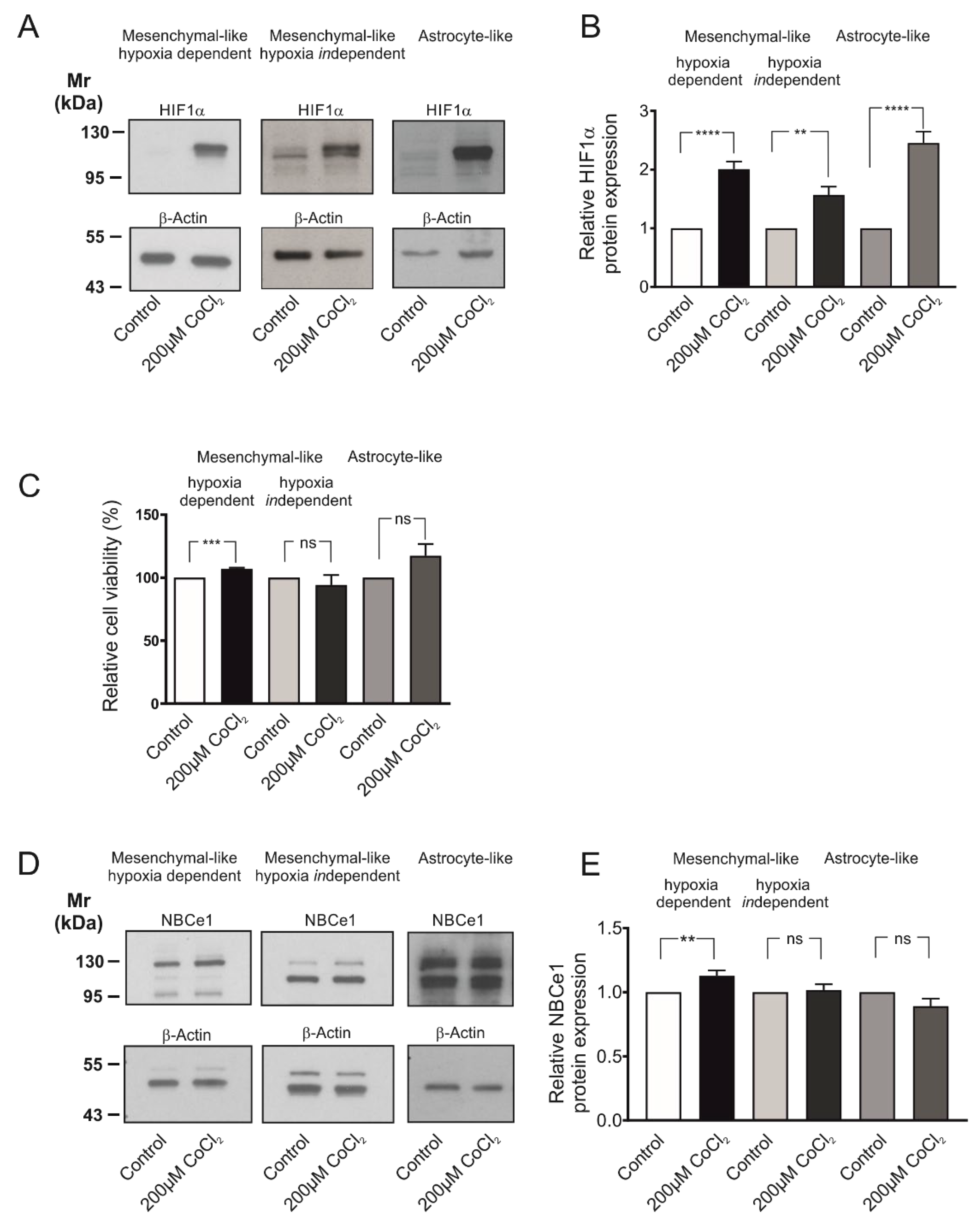 Ijms 23 08975 g002 550