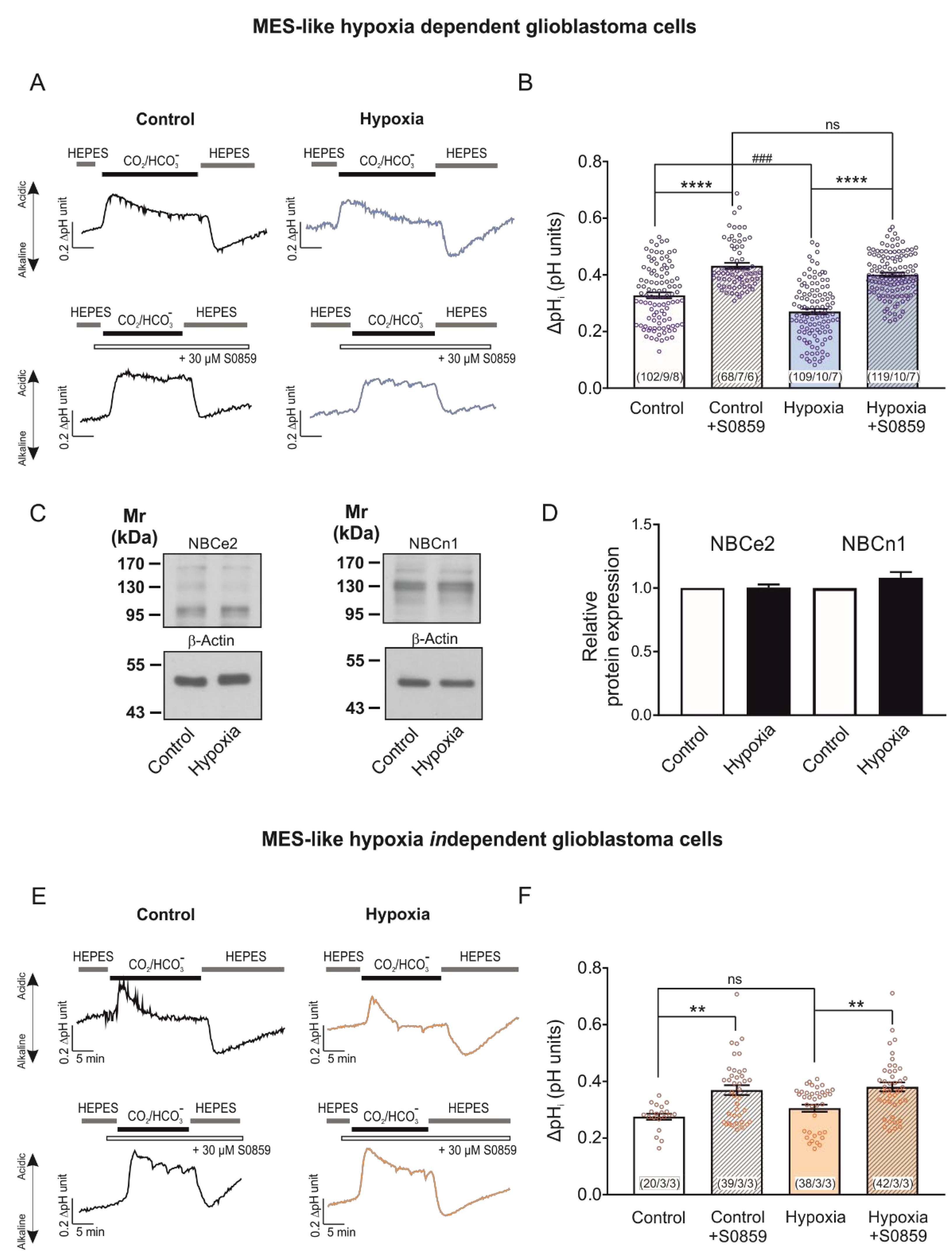 Ijms 23 08975 g003 550