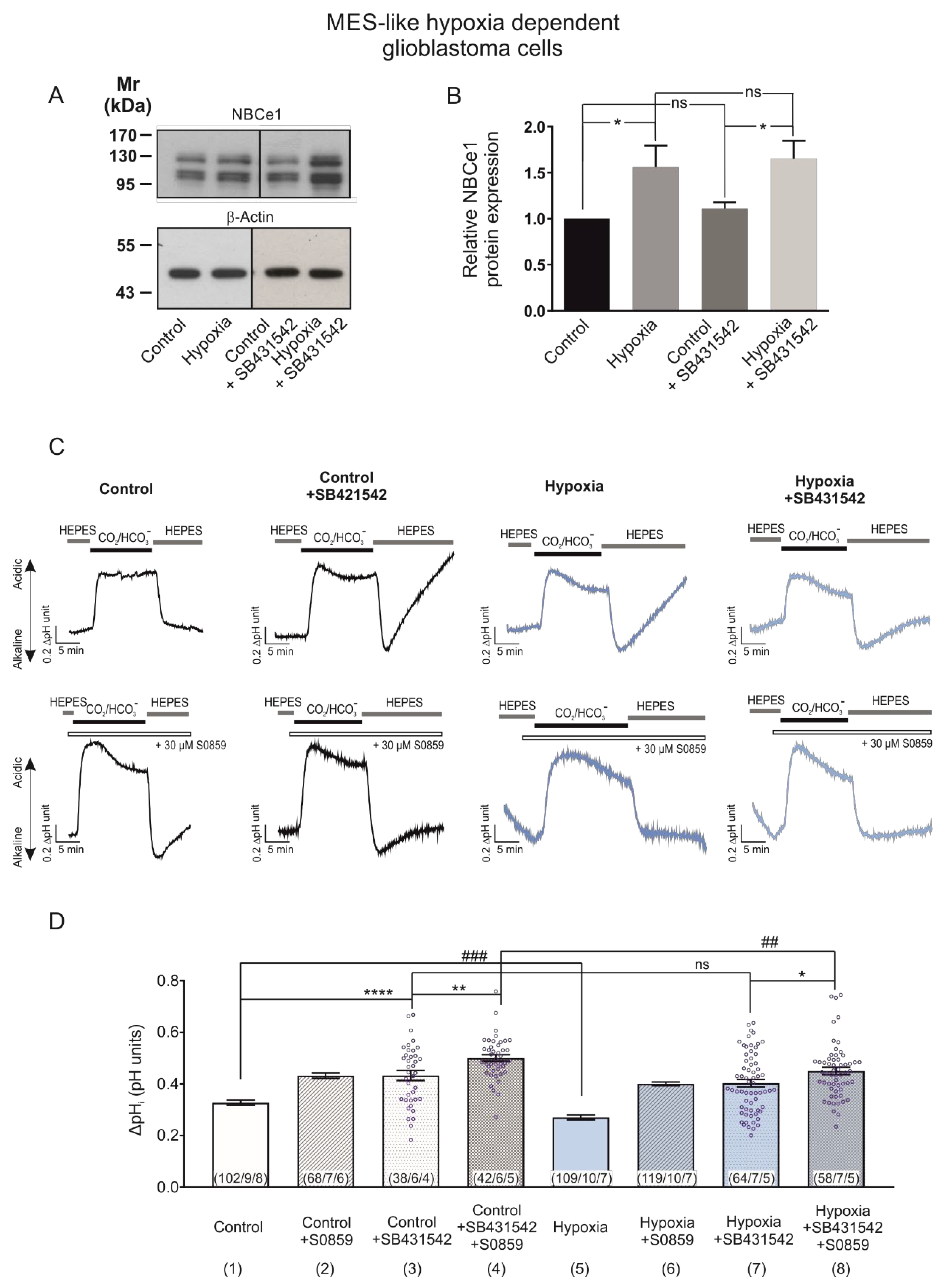 Ijms 23 08975 g005 550