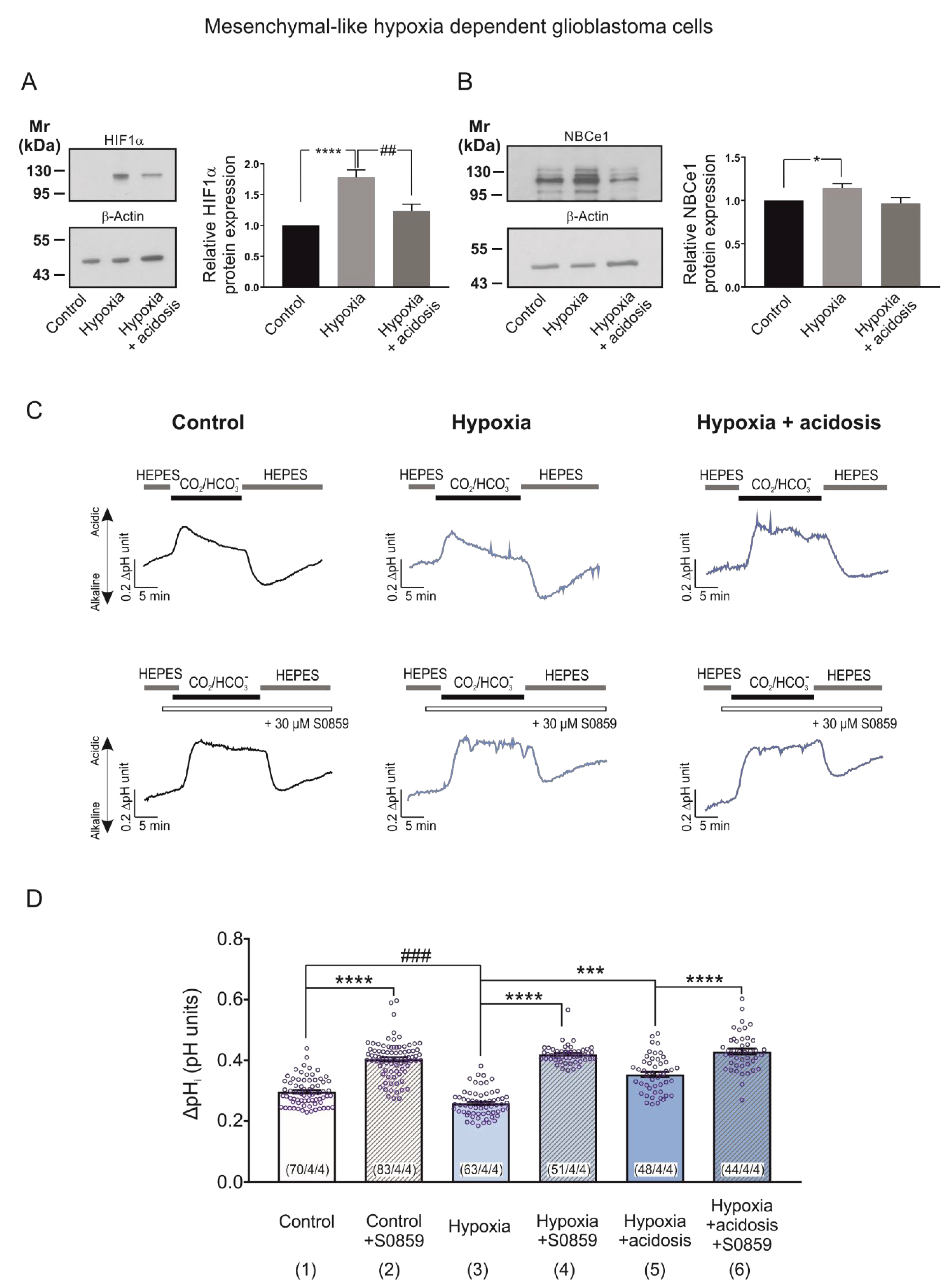 Ijms 23 08975 g006 550
