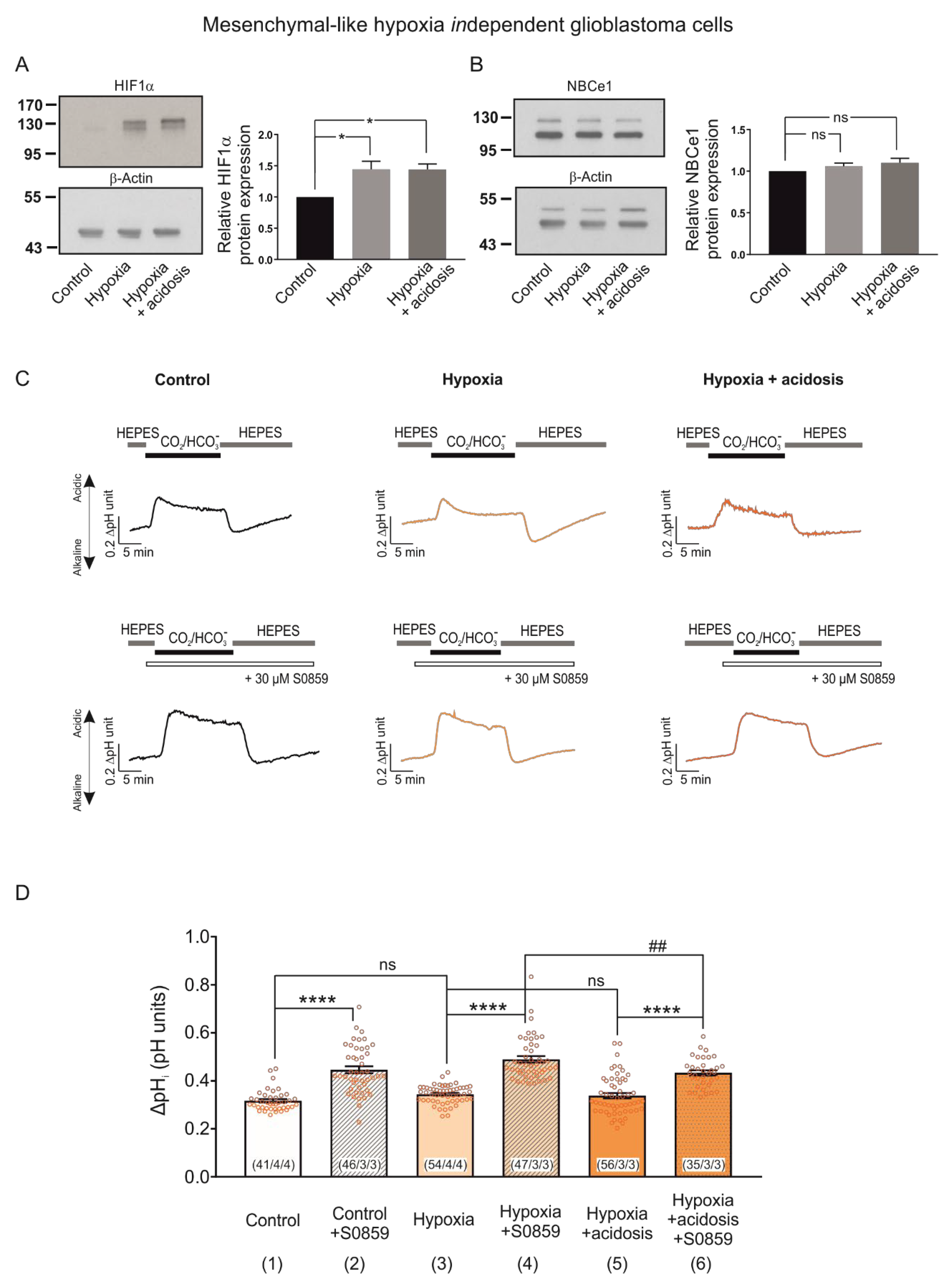 Ijms 23 08975 g007 550