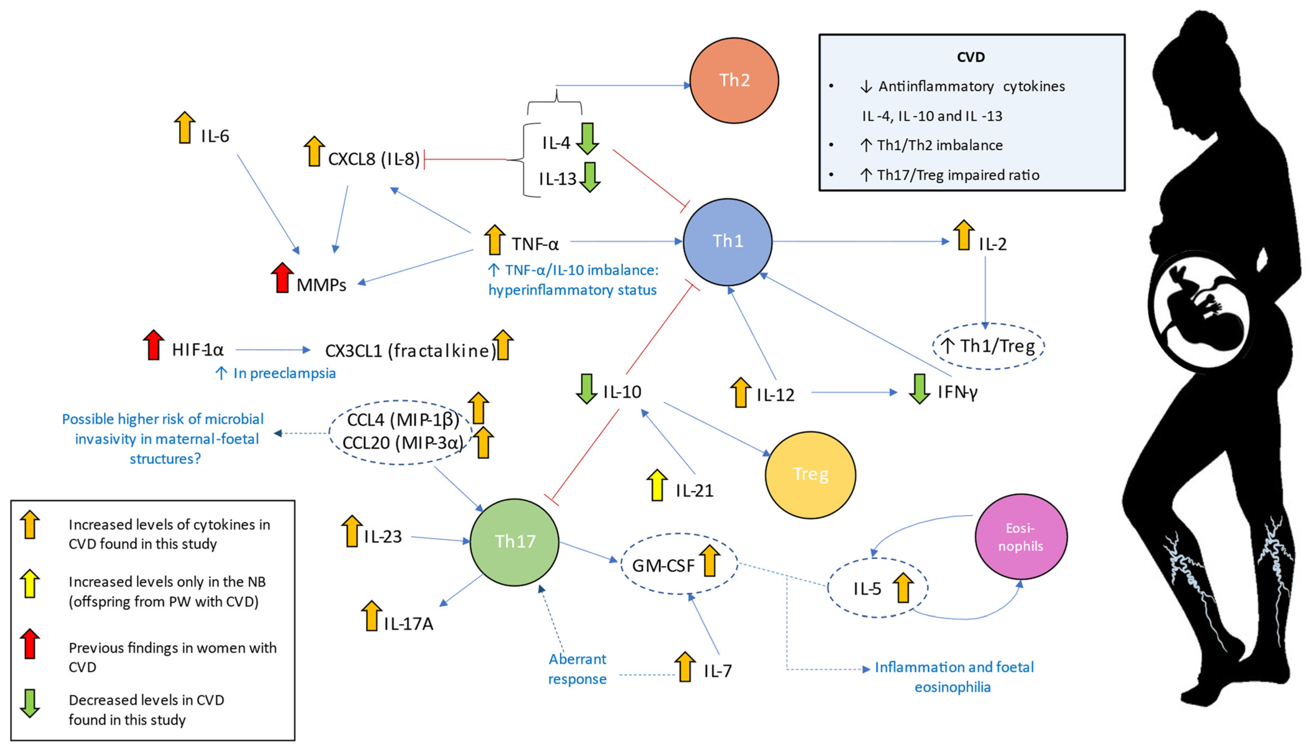 Ijms 23 08976 g008 550