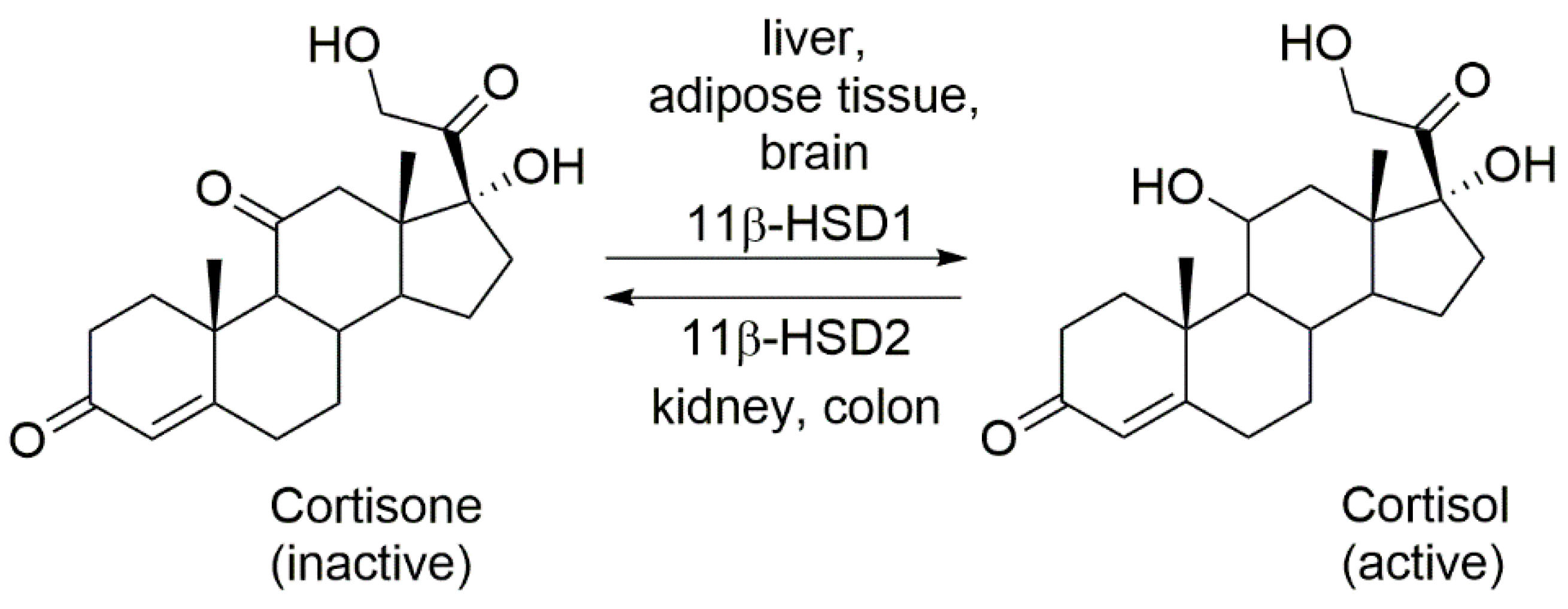 Ijms 23 08984 g001 Ijms 23 08984 g001