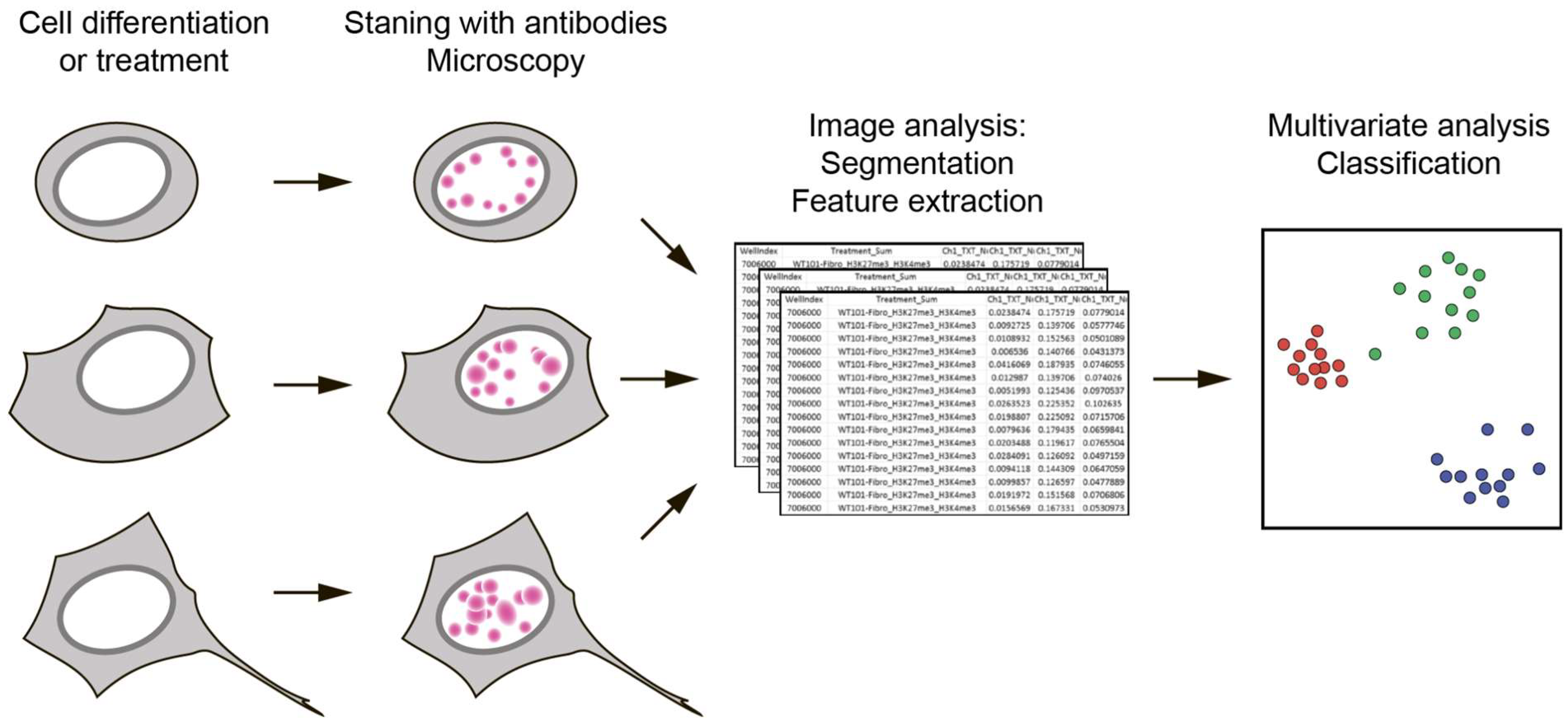 Ijms 23 08988 g001 550