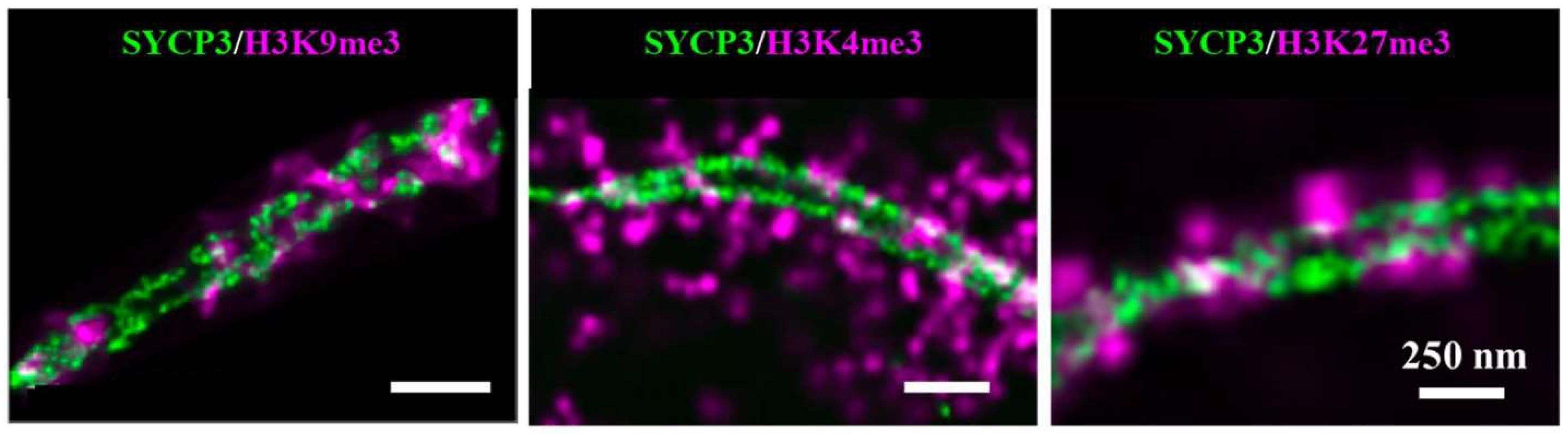 Ijms 23 08988 g007 550