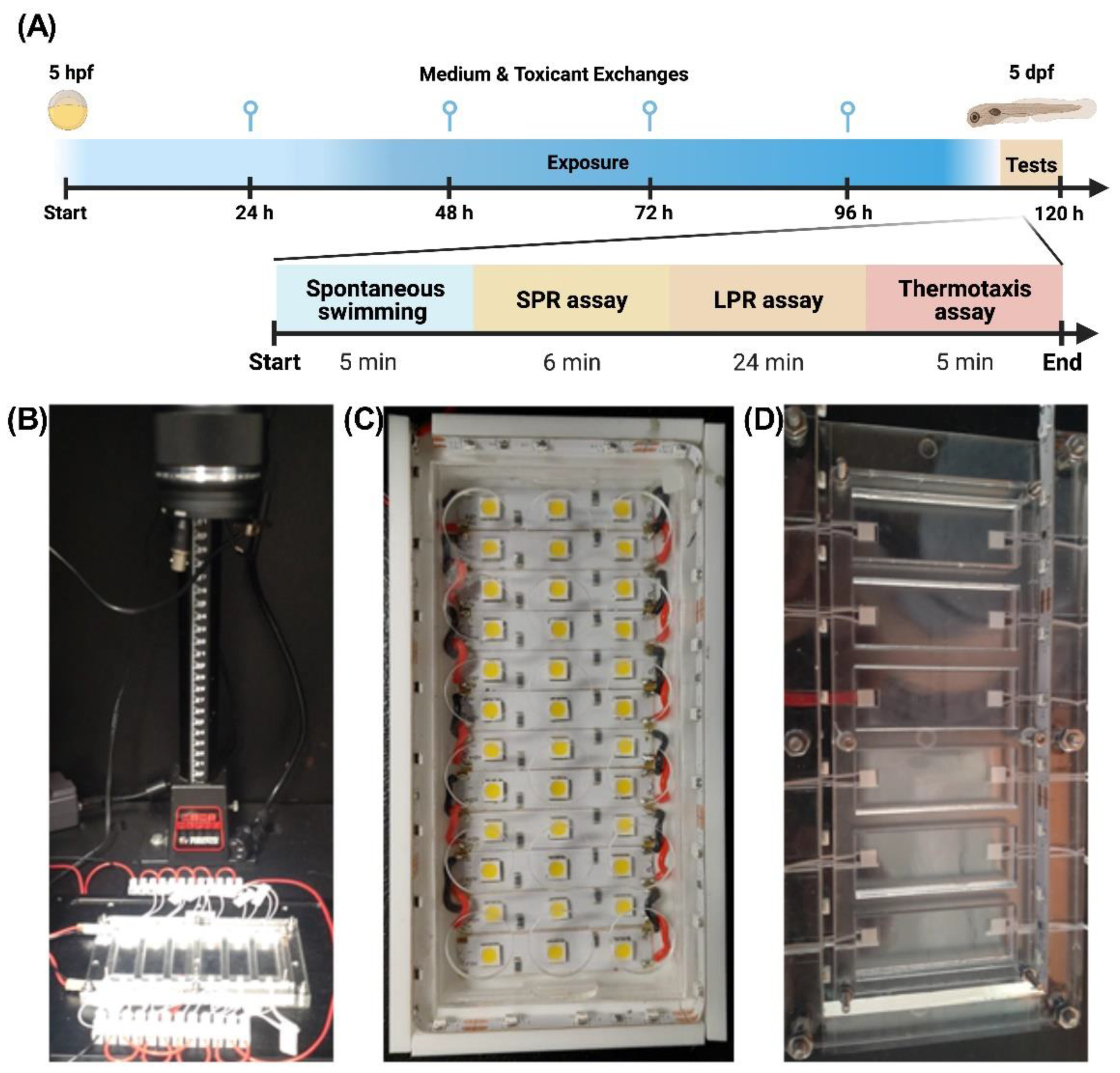 Ijms 23 08990 g002 550