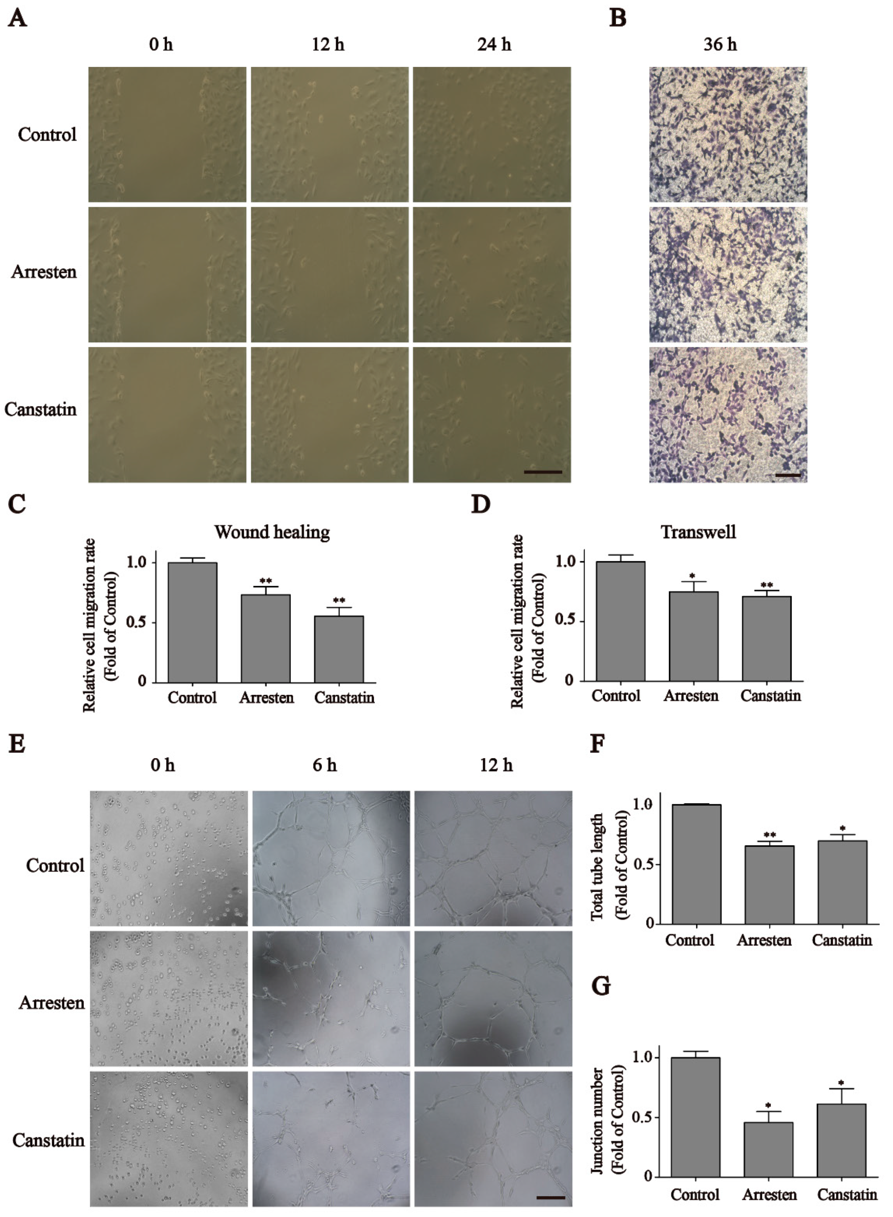 Ijms 23 08995 g003 550