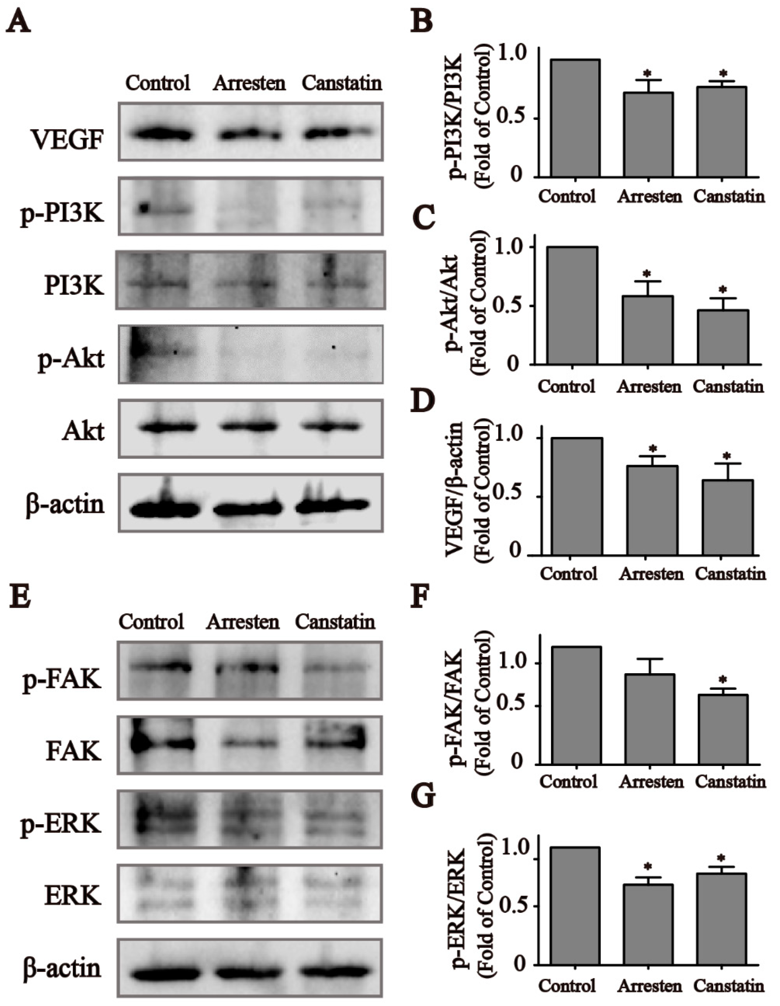 Ijms 23 08995 g004a 550