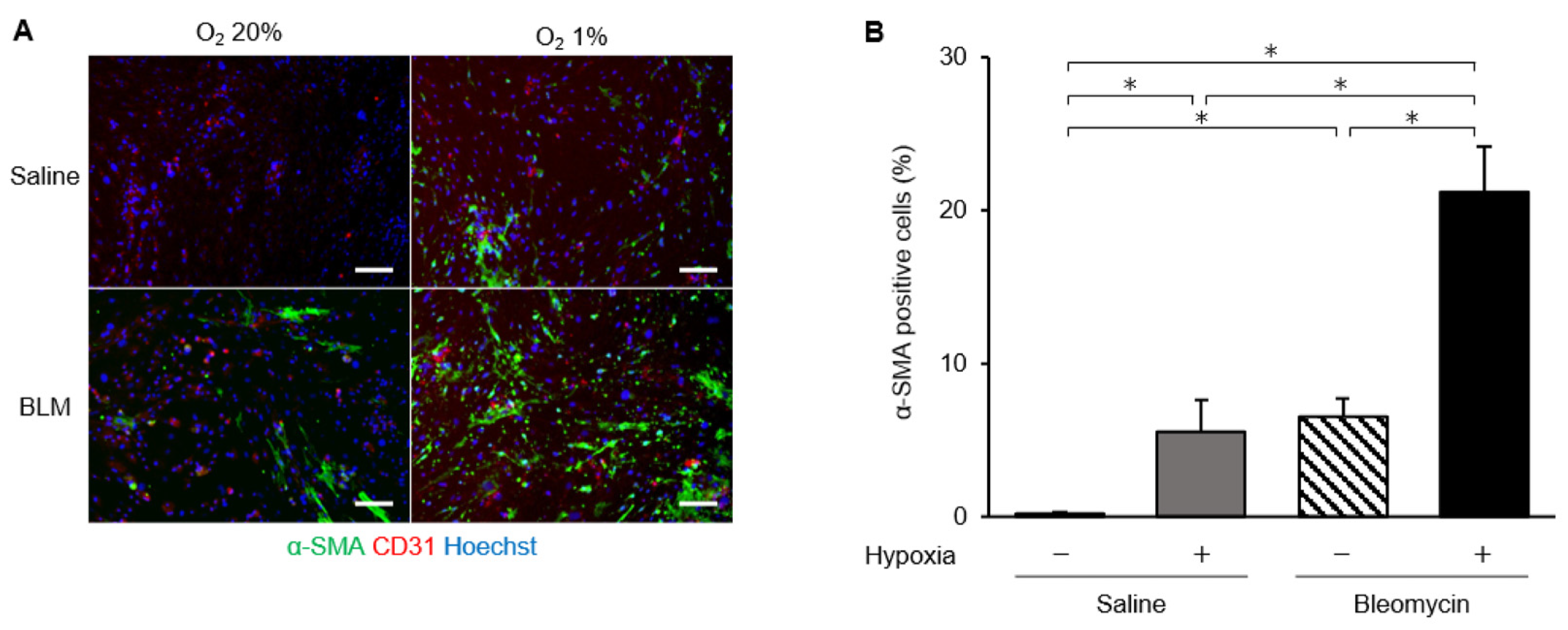 Ijms 23 08996 g005 550