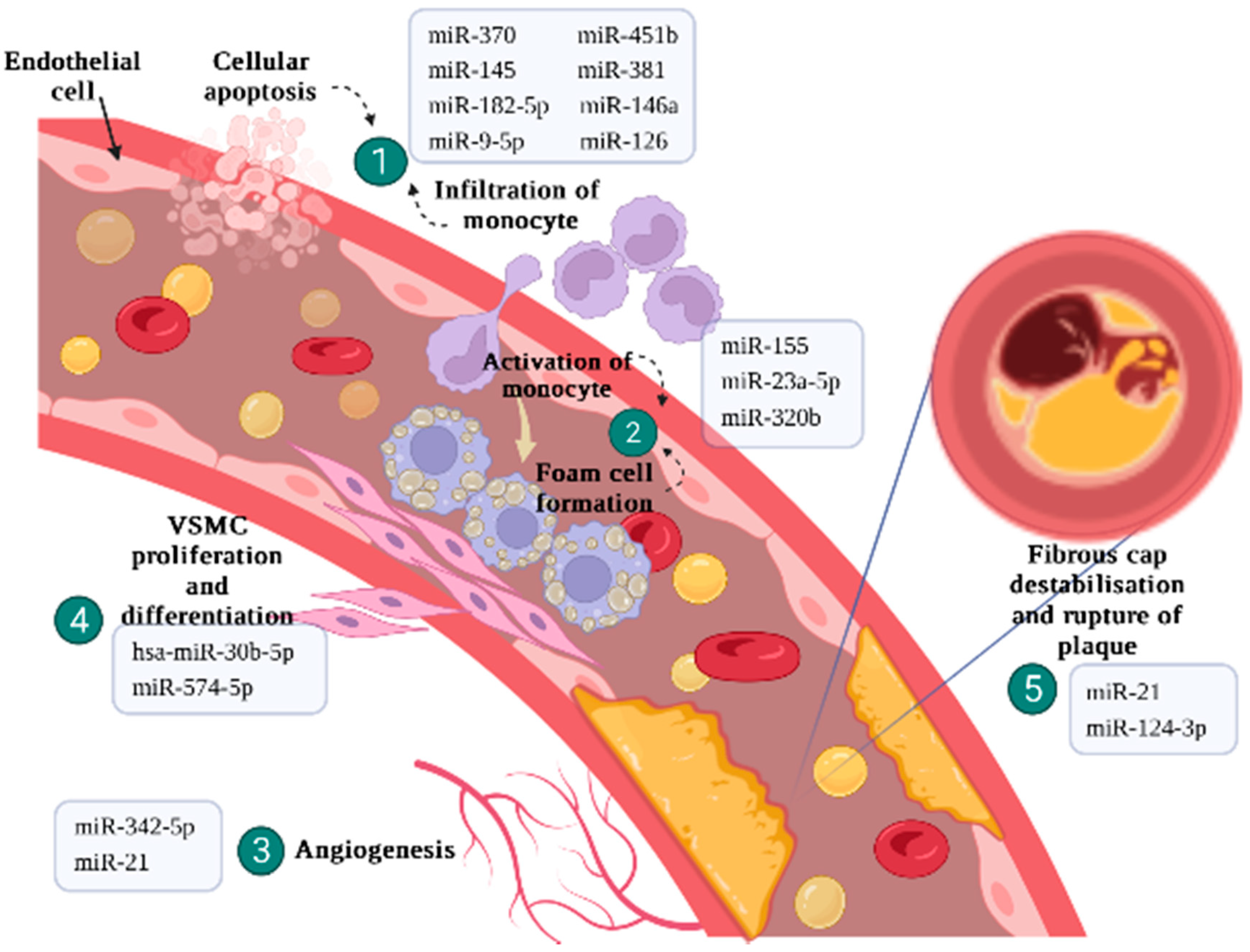 Ijms 23 09001 g002 550