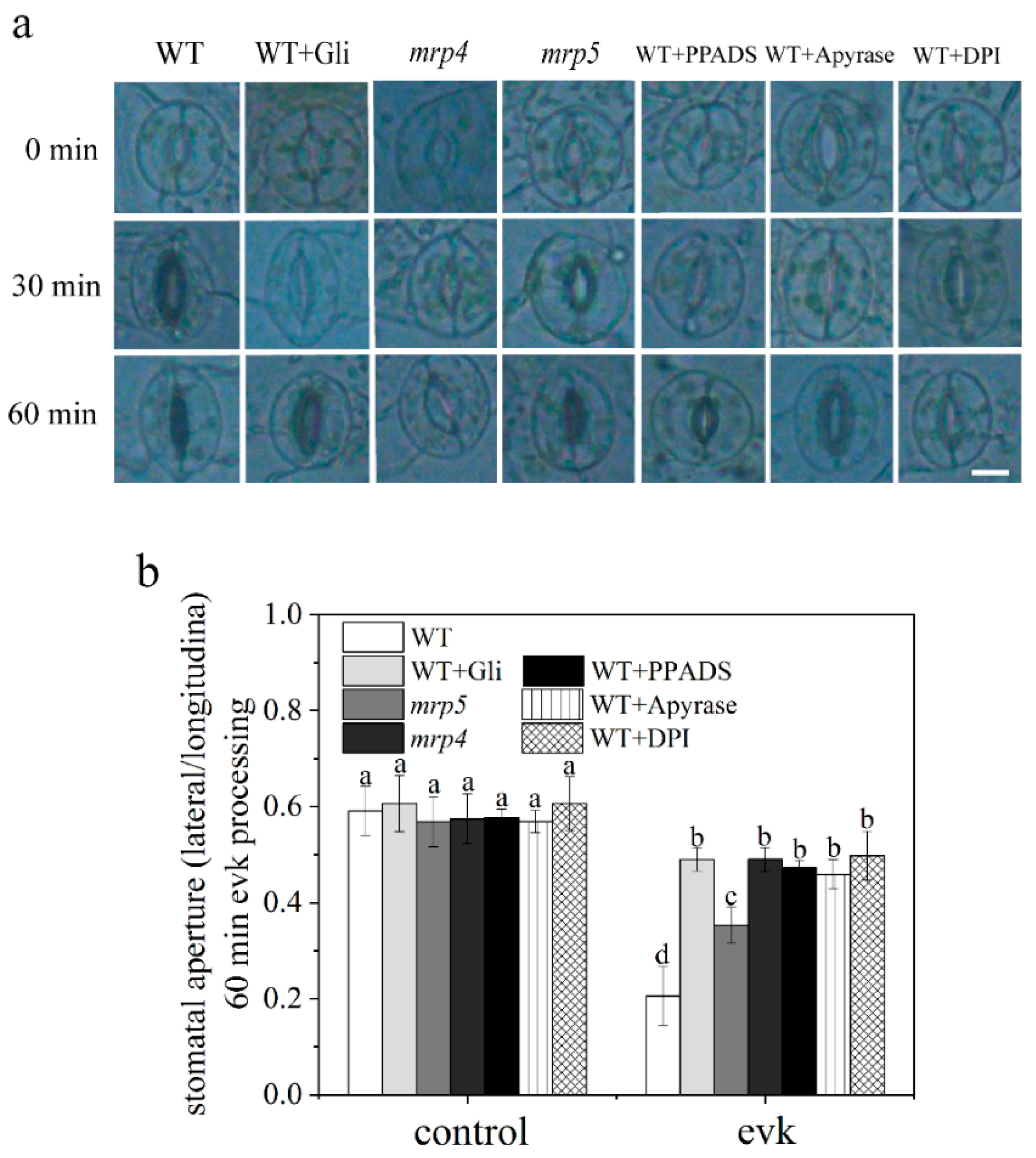 Ijms 23 09002 g001 550