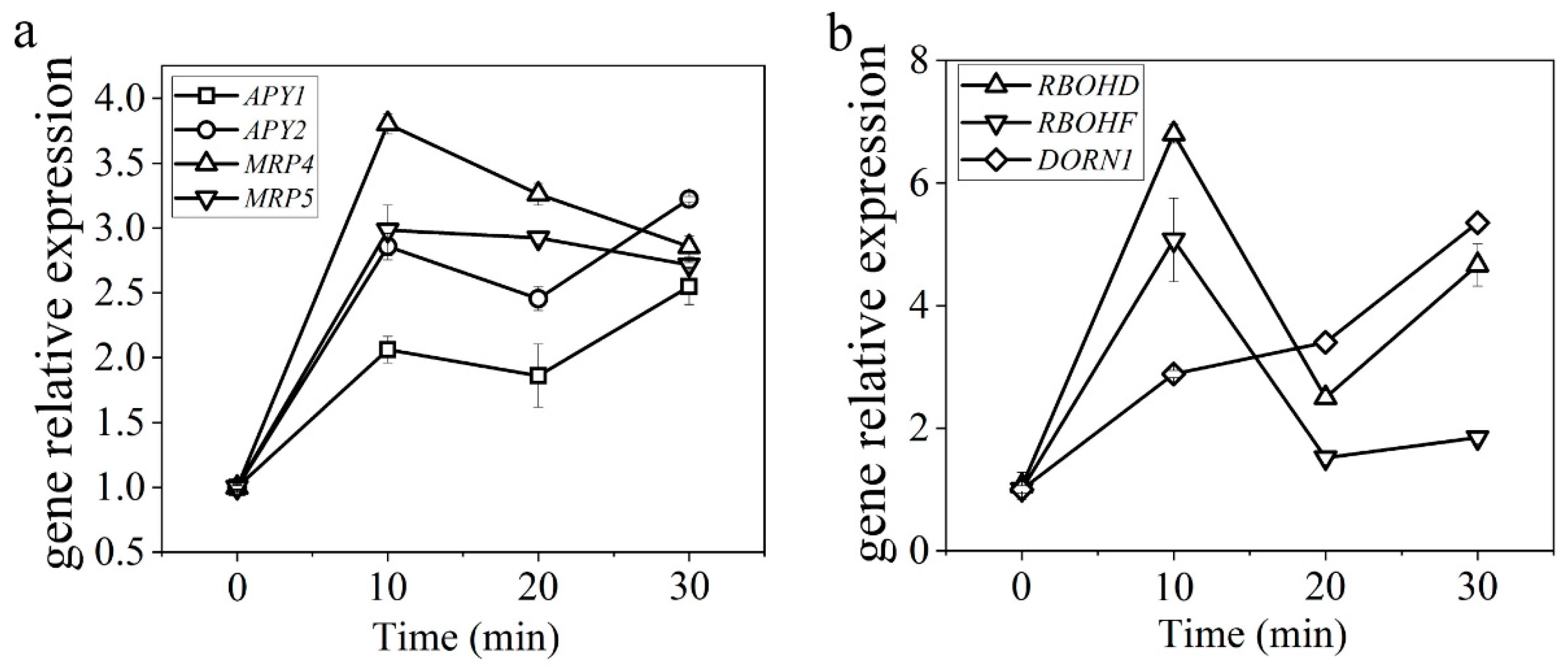 Ijms 23 09002 g003 550
