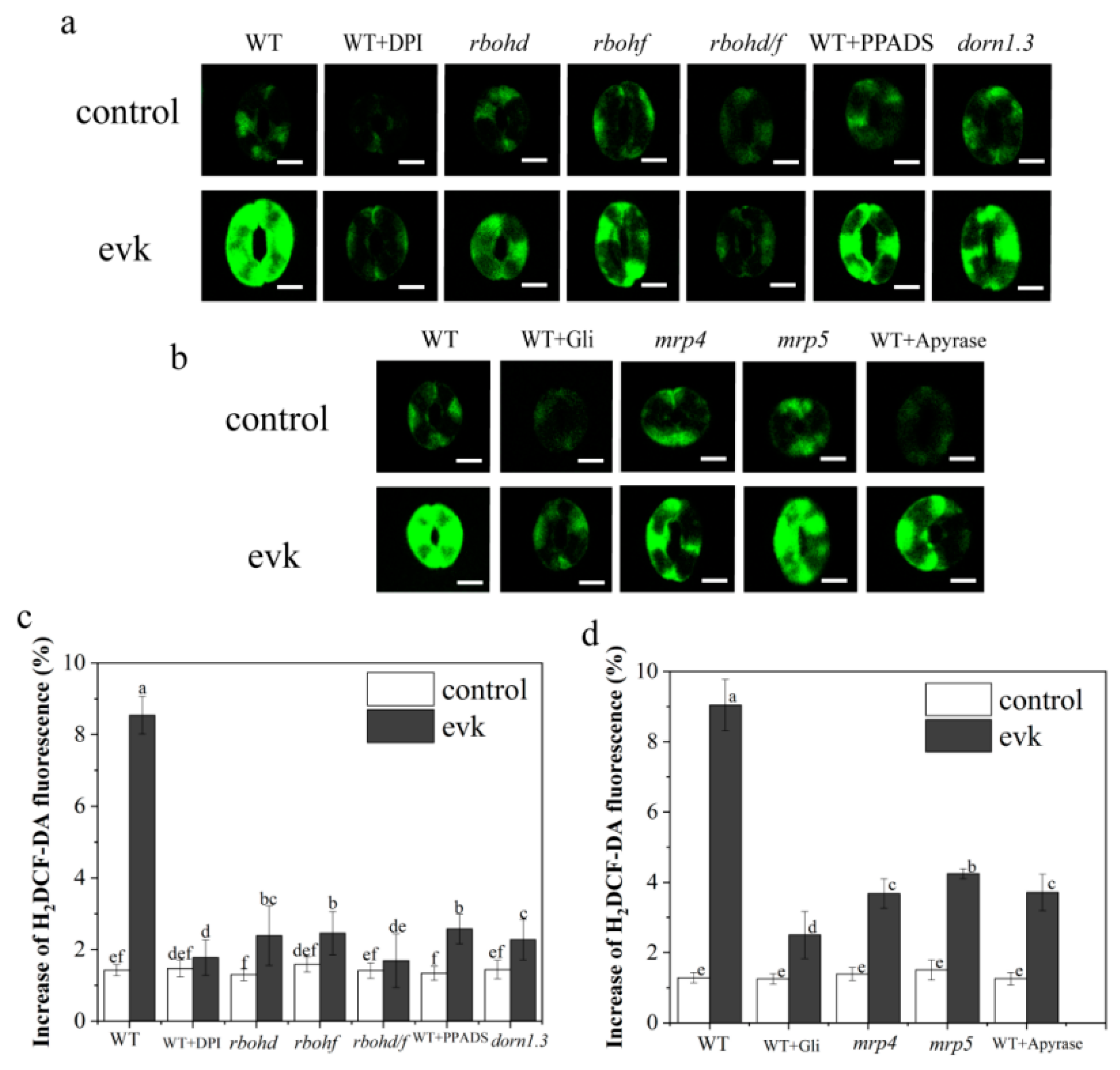 Ijms 23 09002 g004 550