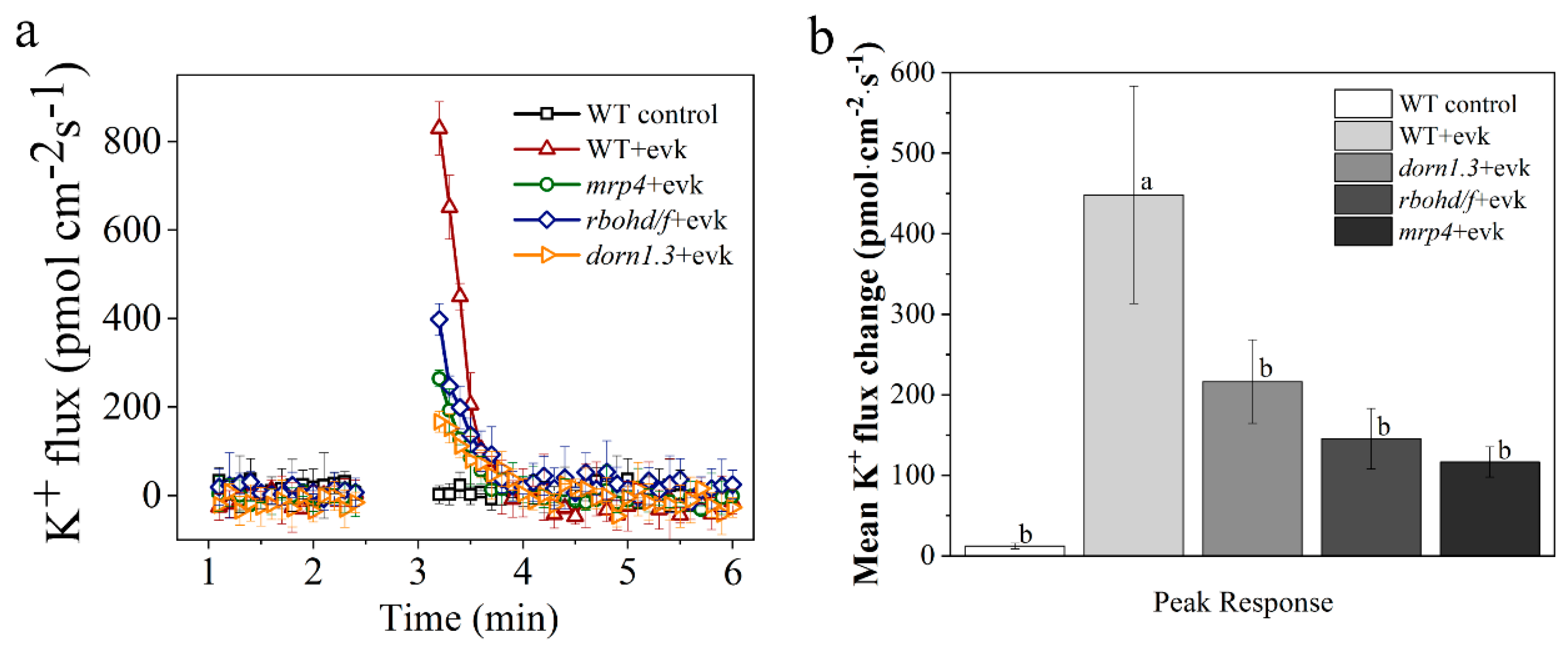 Ijms 23 09002 g005 550