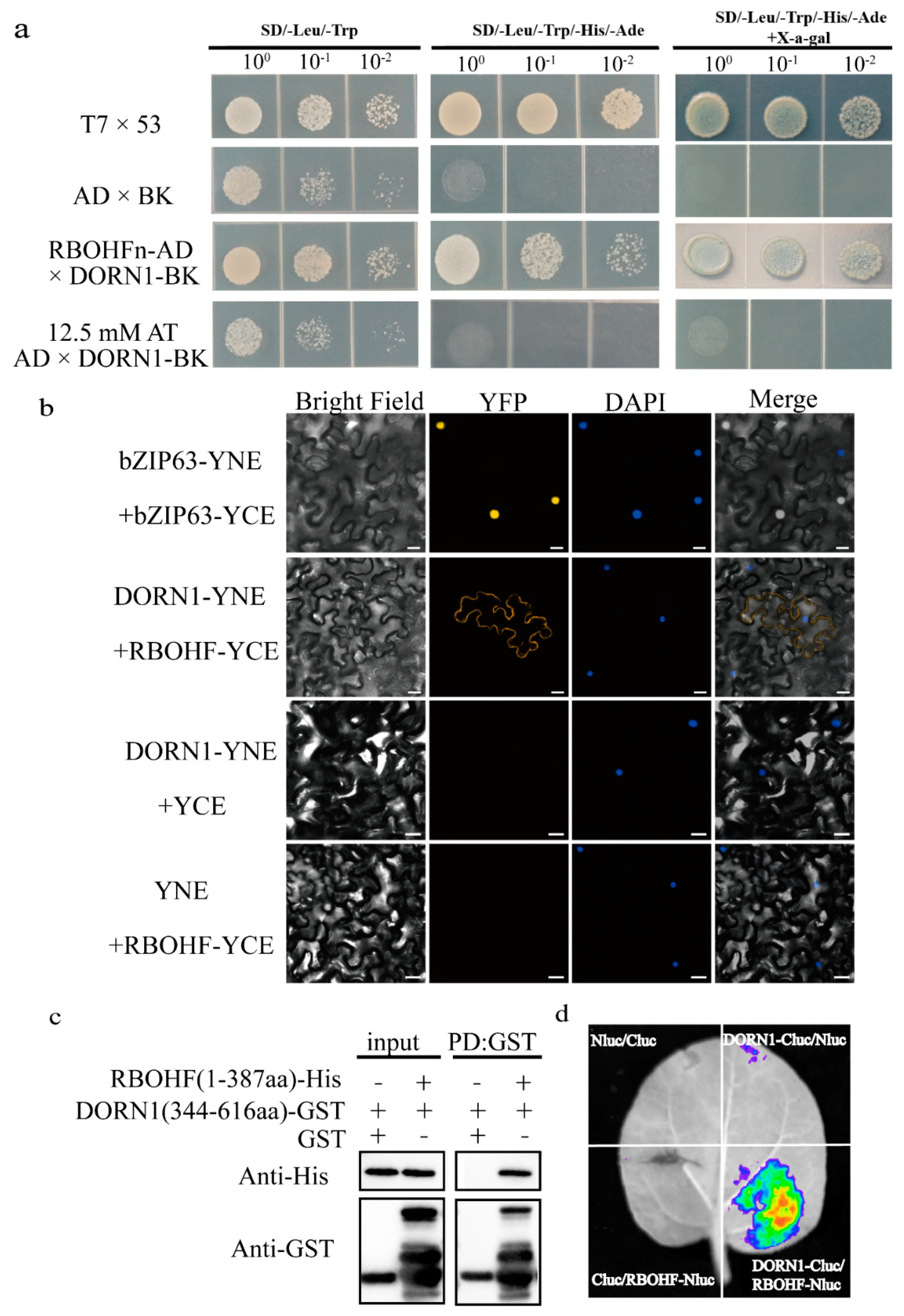 Ijms 23 09002 g006 550
