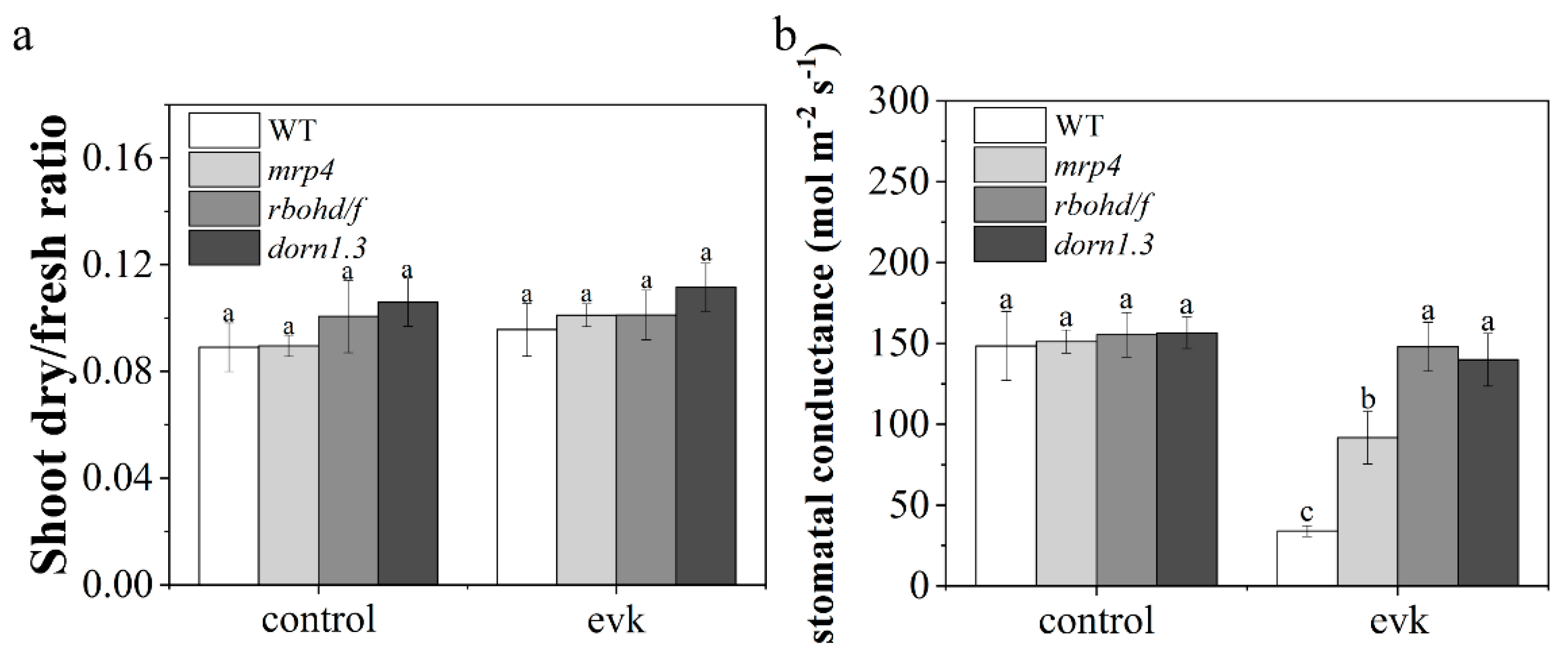 Ijms 23 09002 g007 550