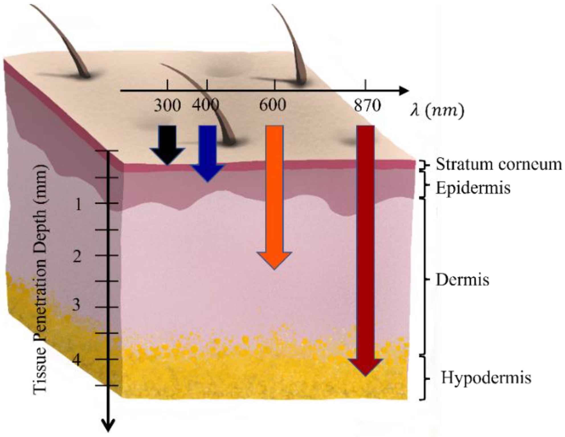 Ijms 23 09003 g001 550